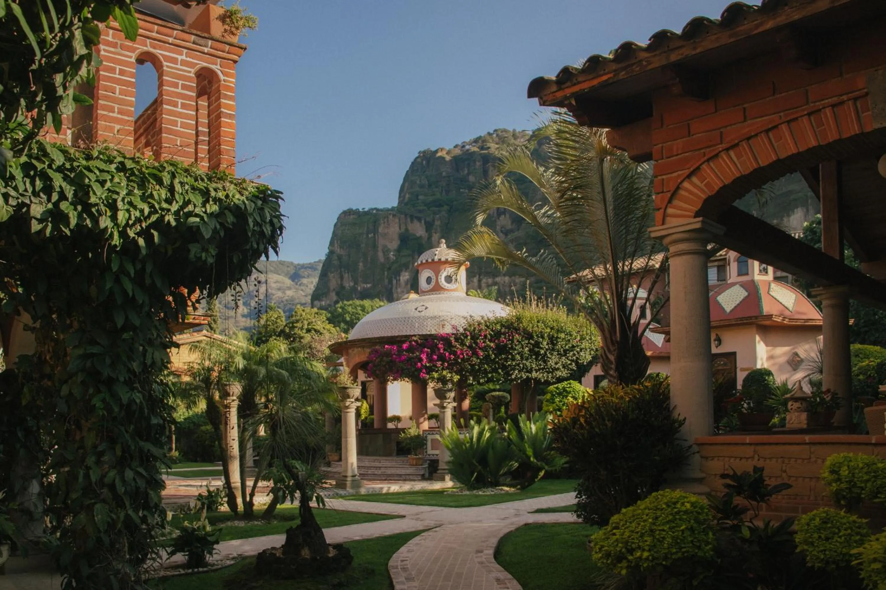 Natural landscape in La Buena Vibra Wellness Resort & Spa