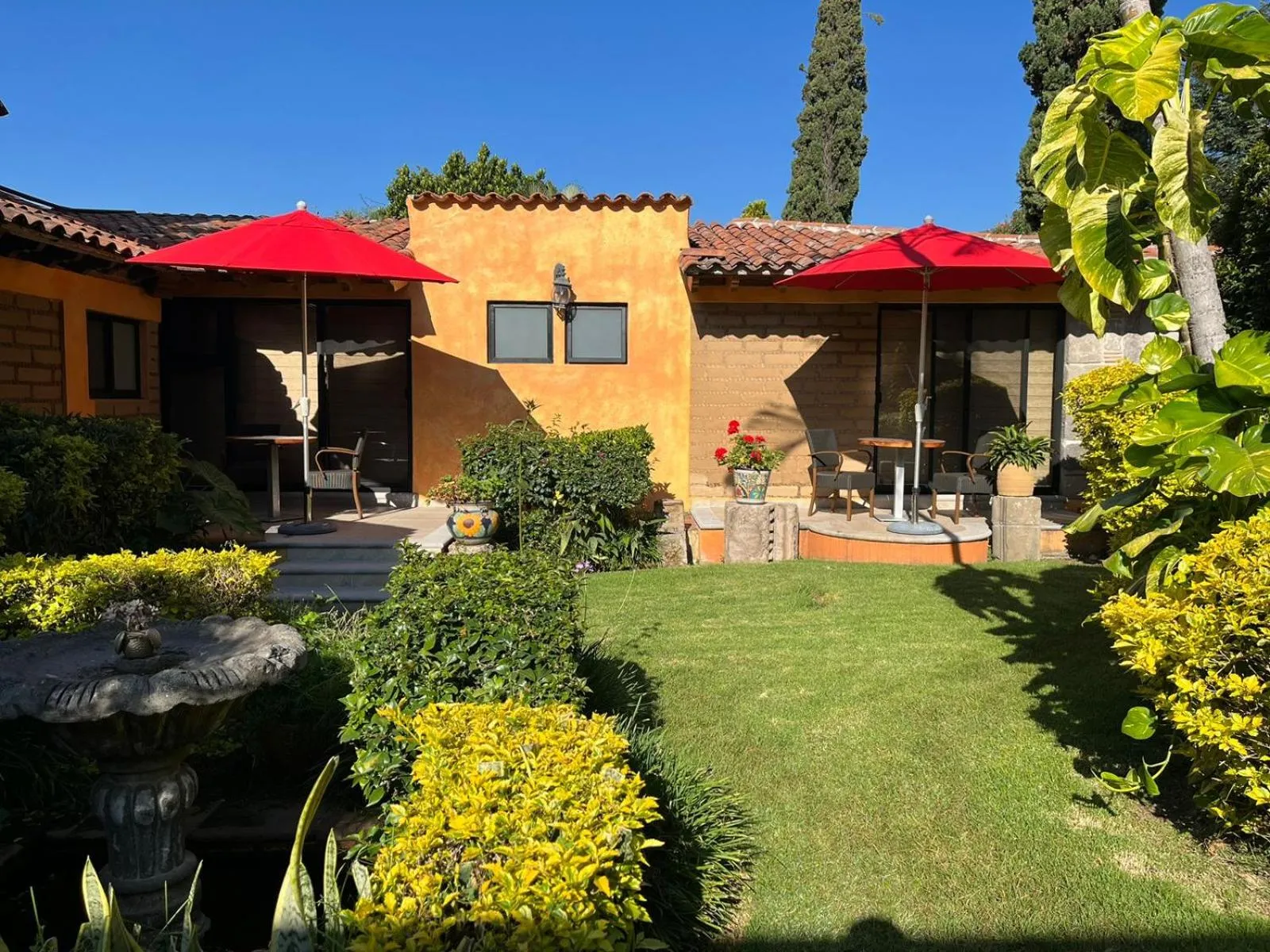 Garden view in La Buena Vibra Wellness Resort & Spa