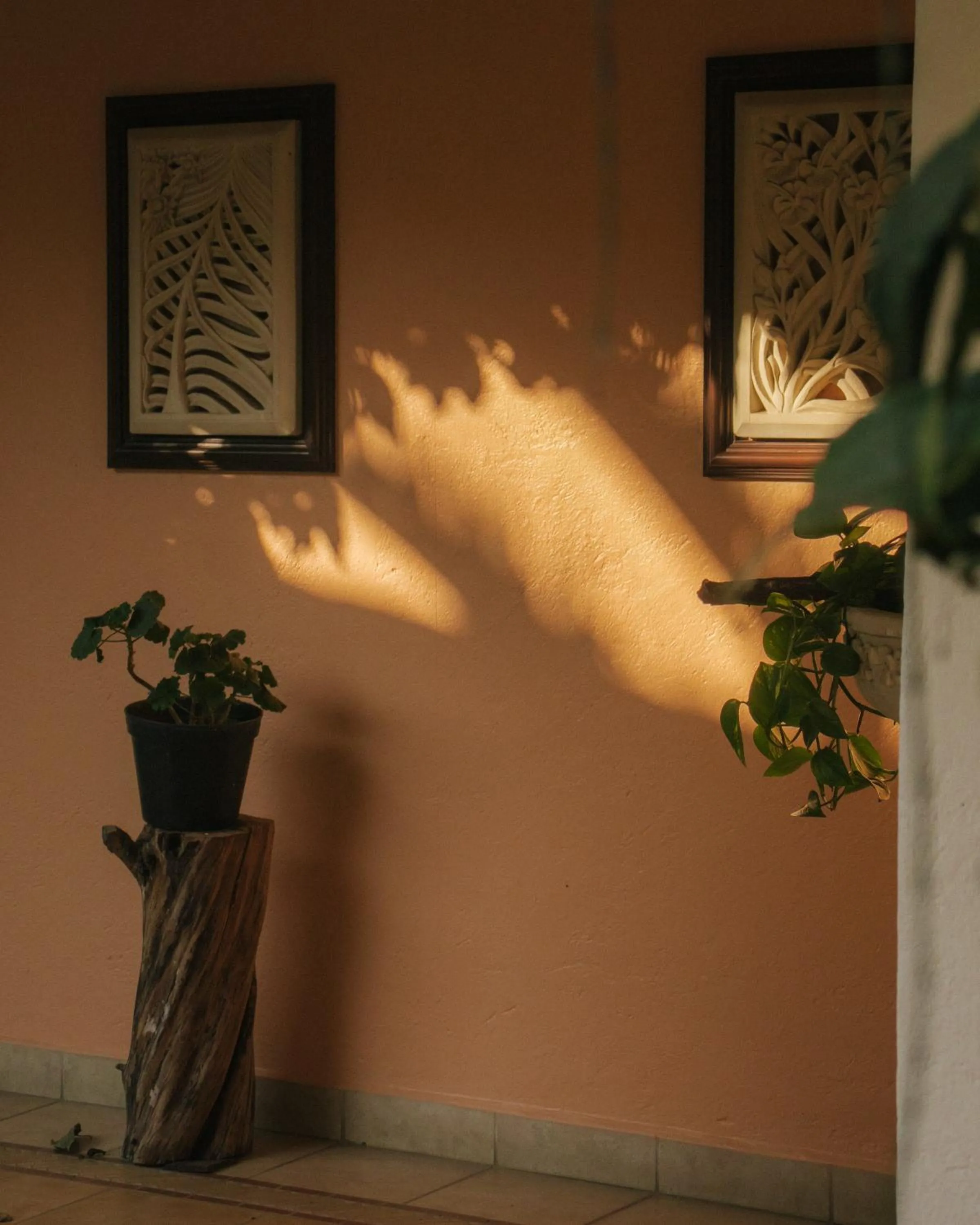 La Buena Vibra Wellness Resort & Spa