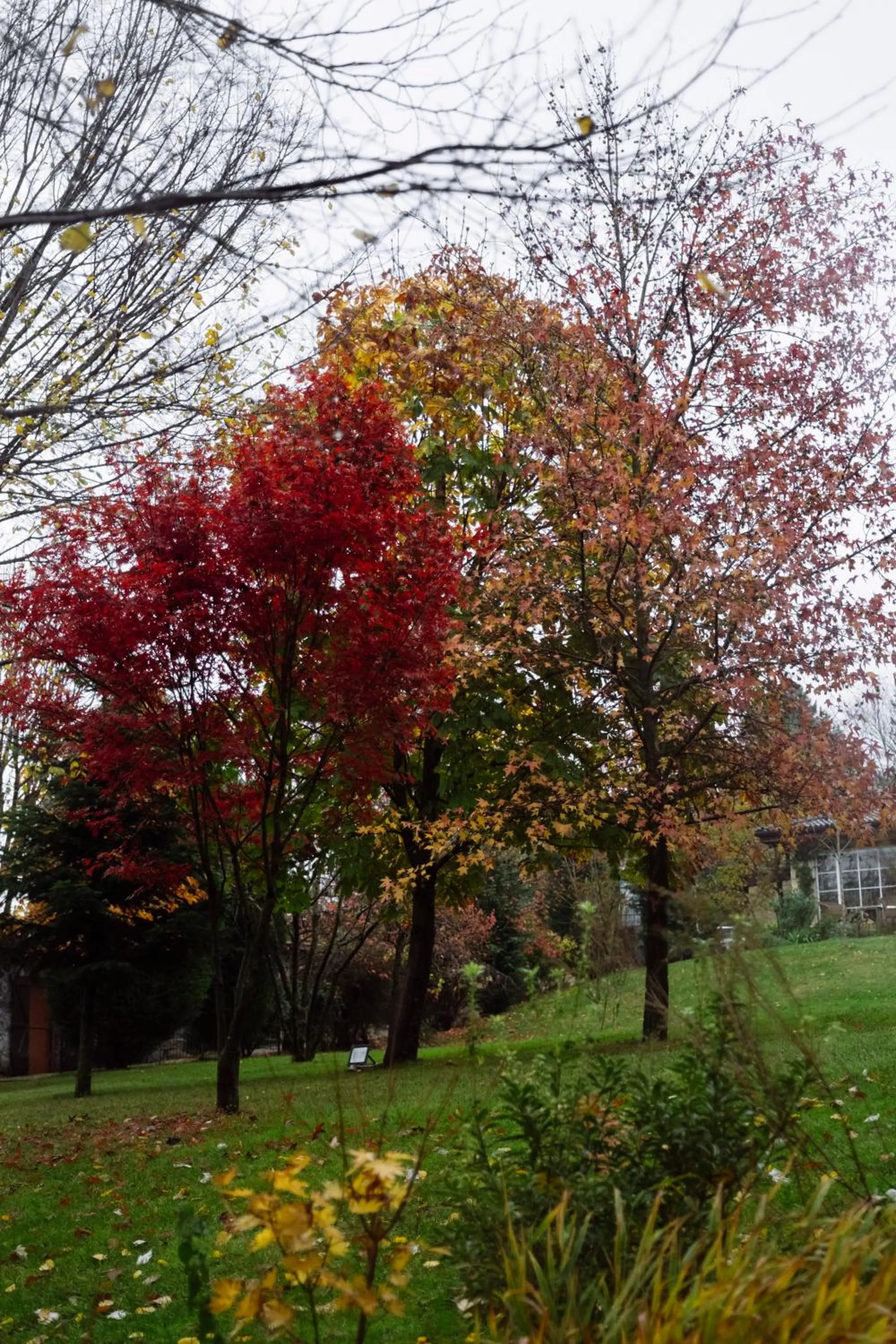 Casa Lavanda Boutique Hotel