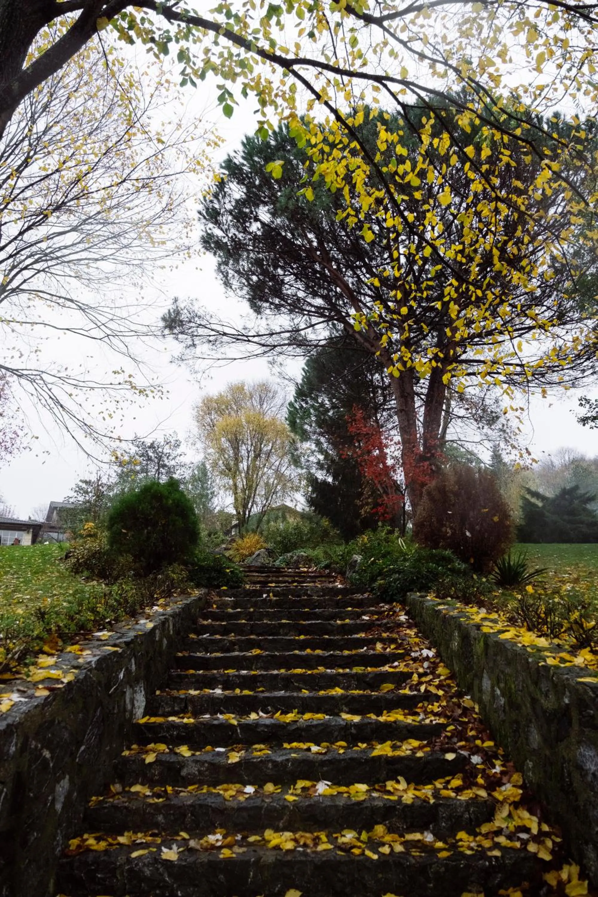 Casa Lavanda Boutique Hotel