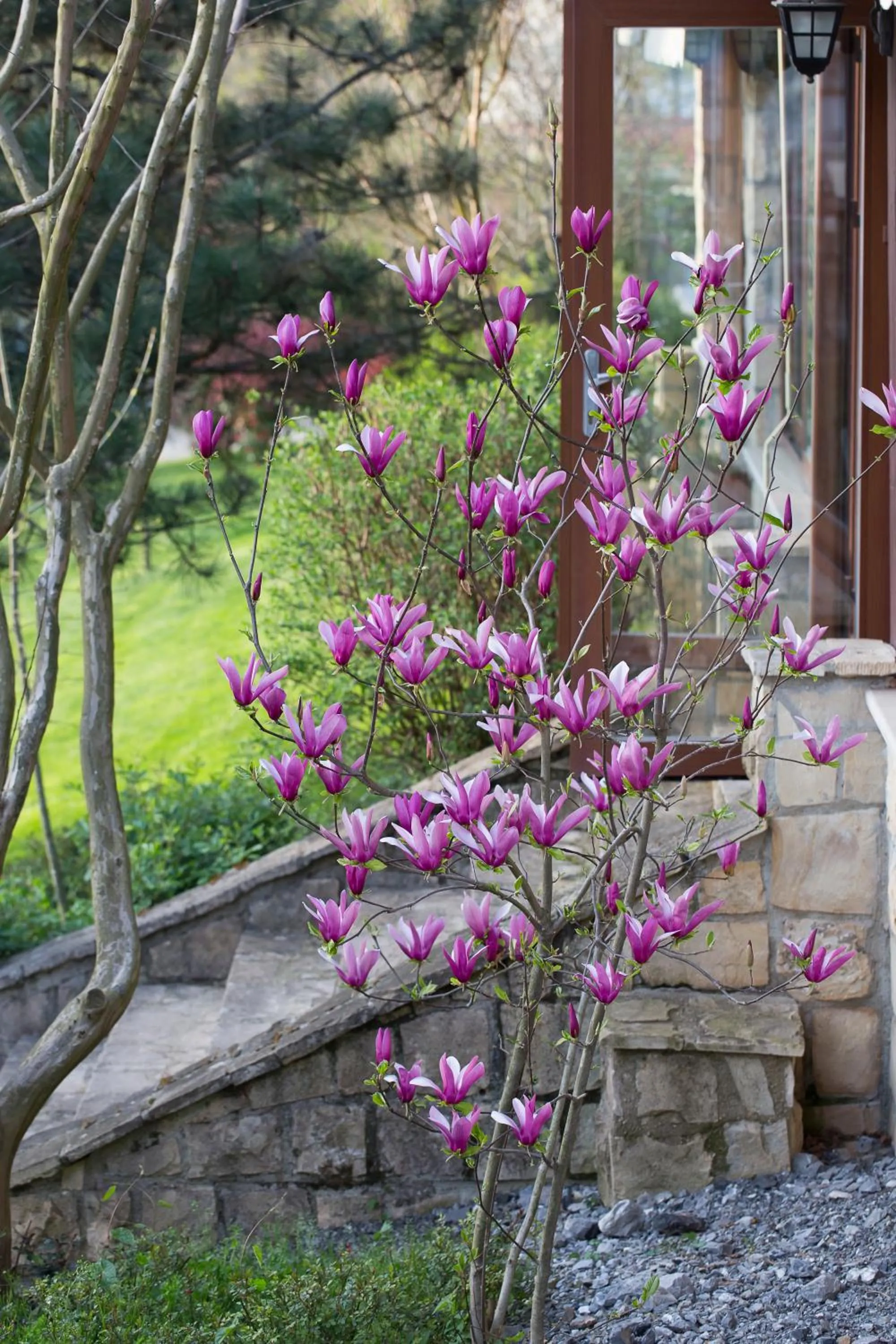 Garden view in Casa Lavanda Boutique Hotel