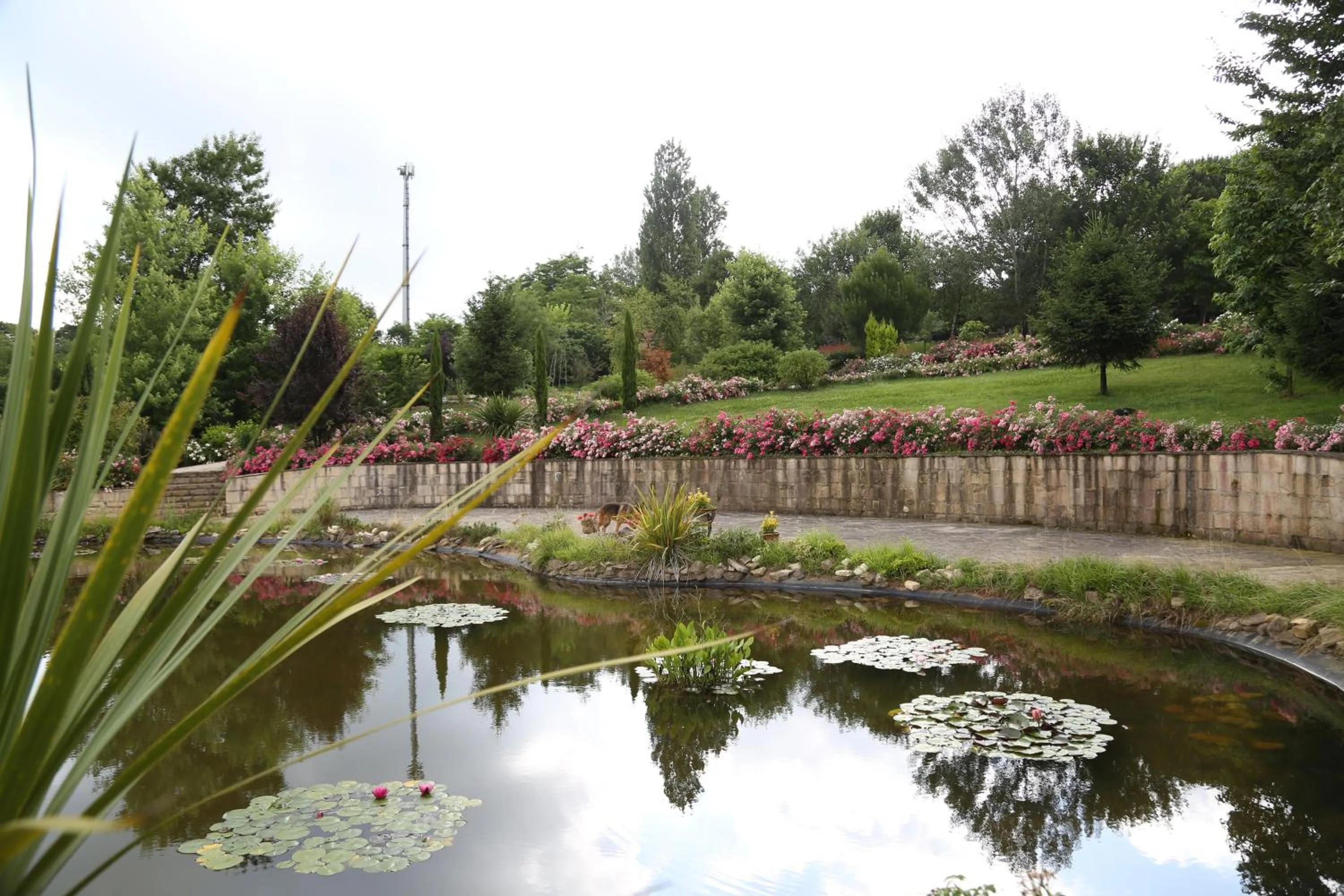 Lake view in Casa Lavanda Boutique Hotel
