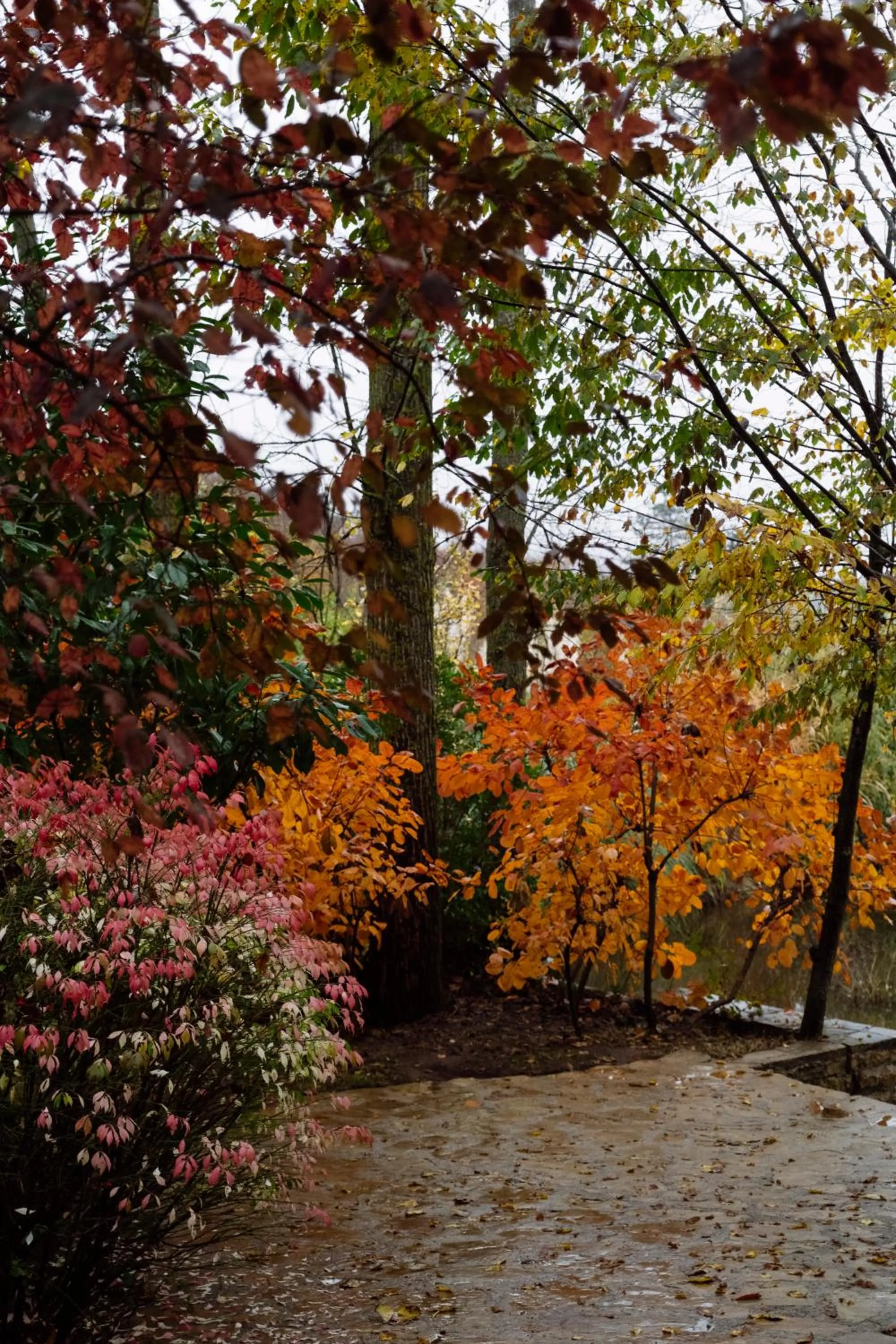 Casa Lavanda Boutique Hotel