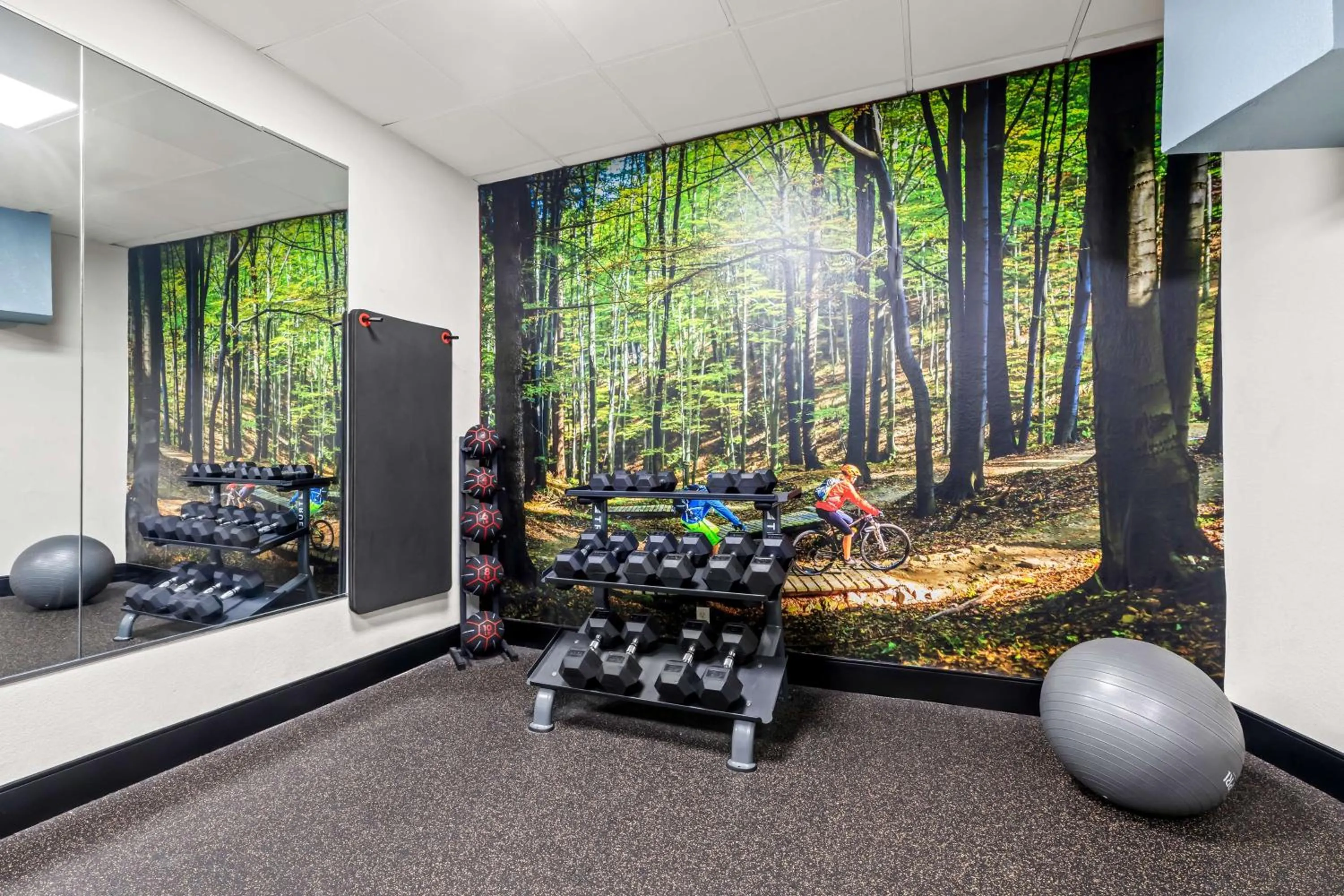 Fitness centre/facilities in Best Western Atlanta Cumberland Galleria Hotel