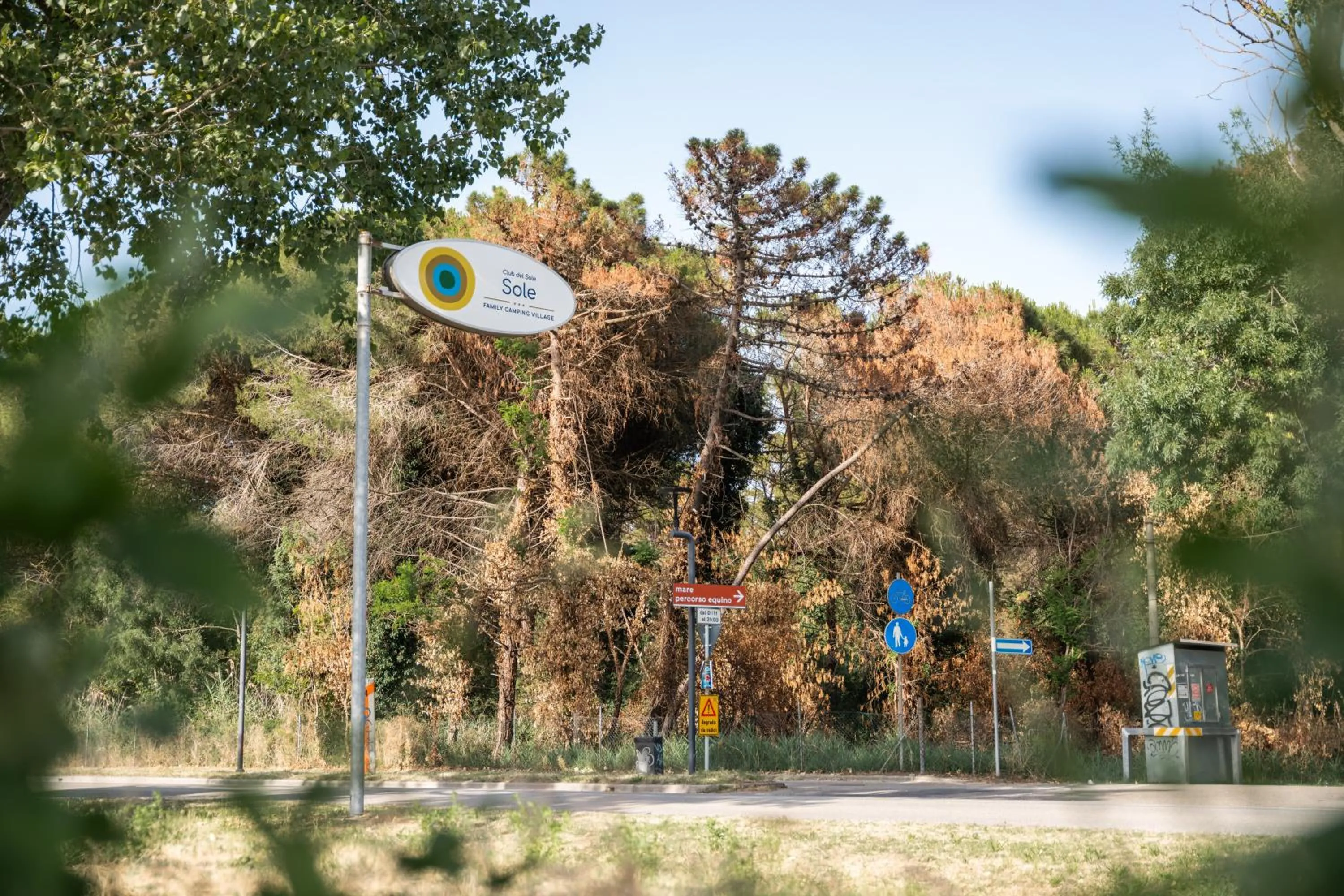 Property building in Club del Sole Marina Romea Easy Camping Village