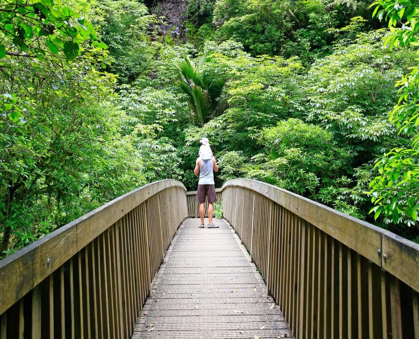 Activities in Treghan Luxury Lodge