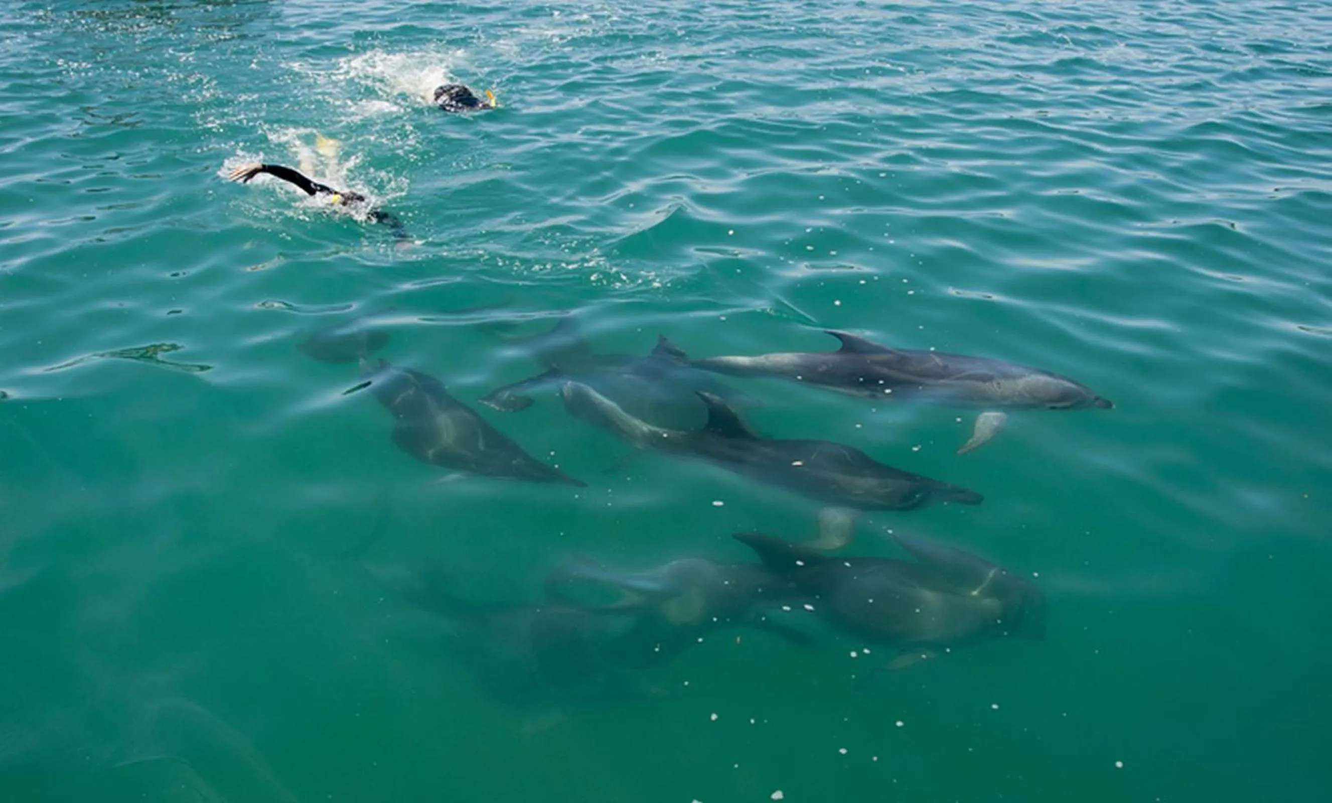 Activities in Treghan Luxury Lodge