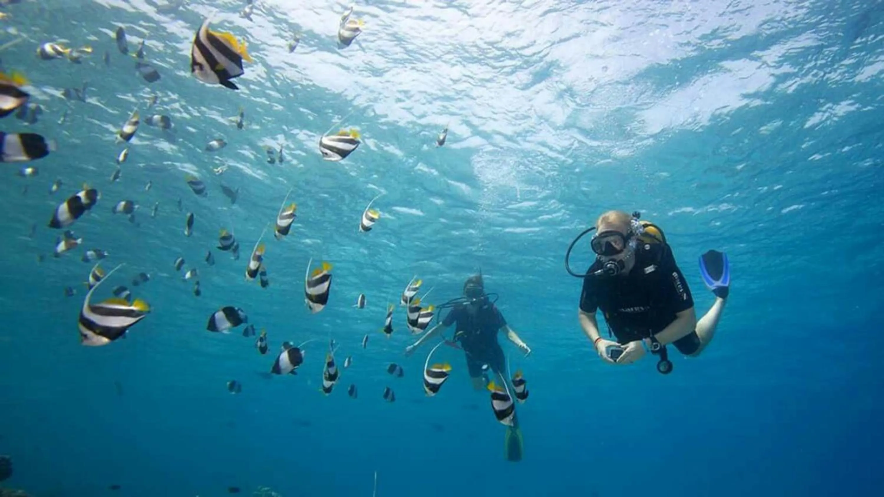 Off site in Batuta Maldives Surf View