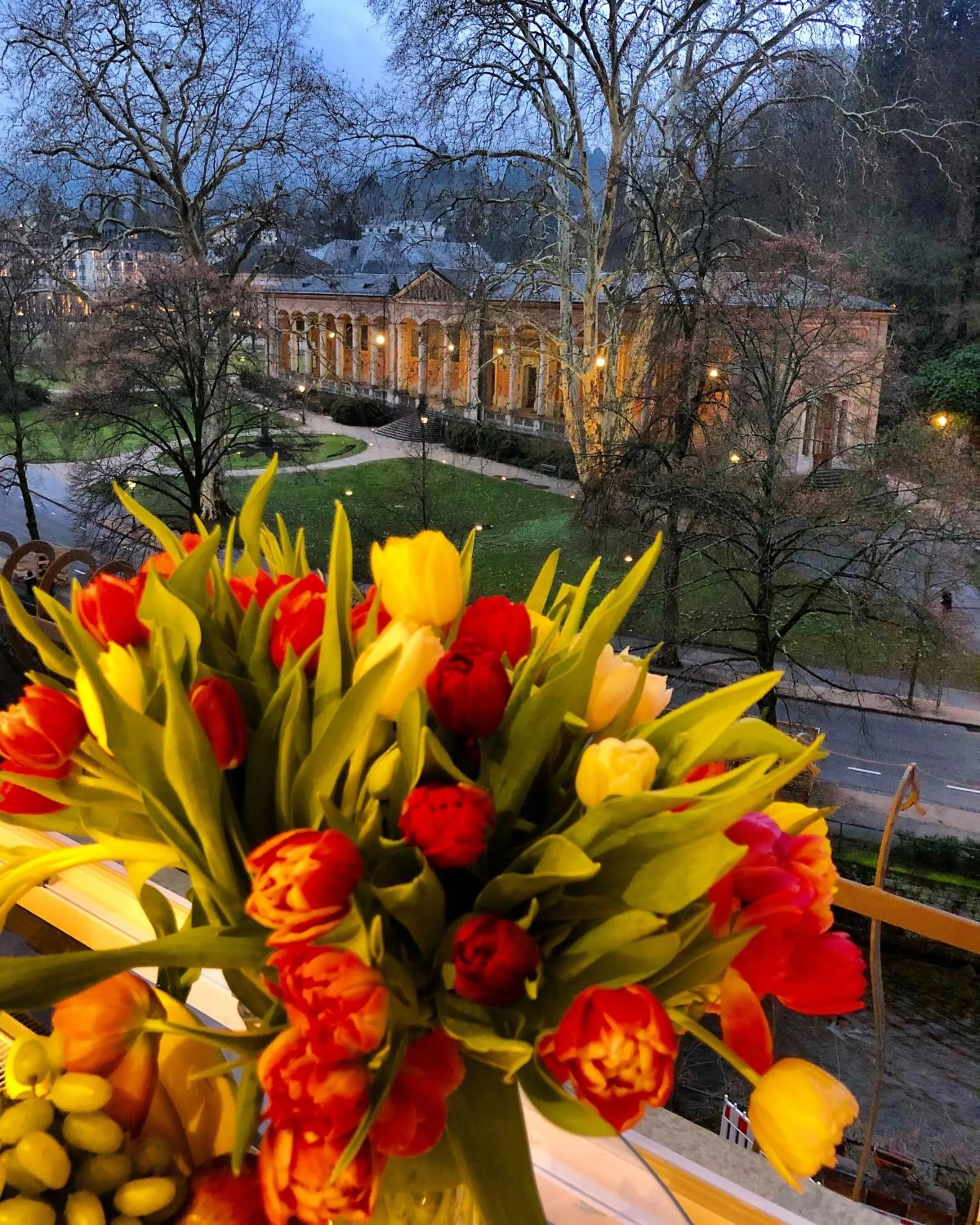 Natural landscape in Reichel-Appartements