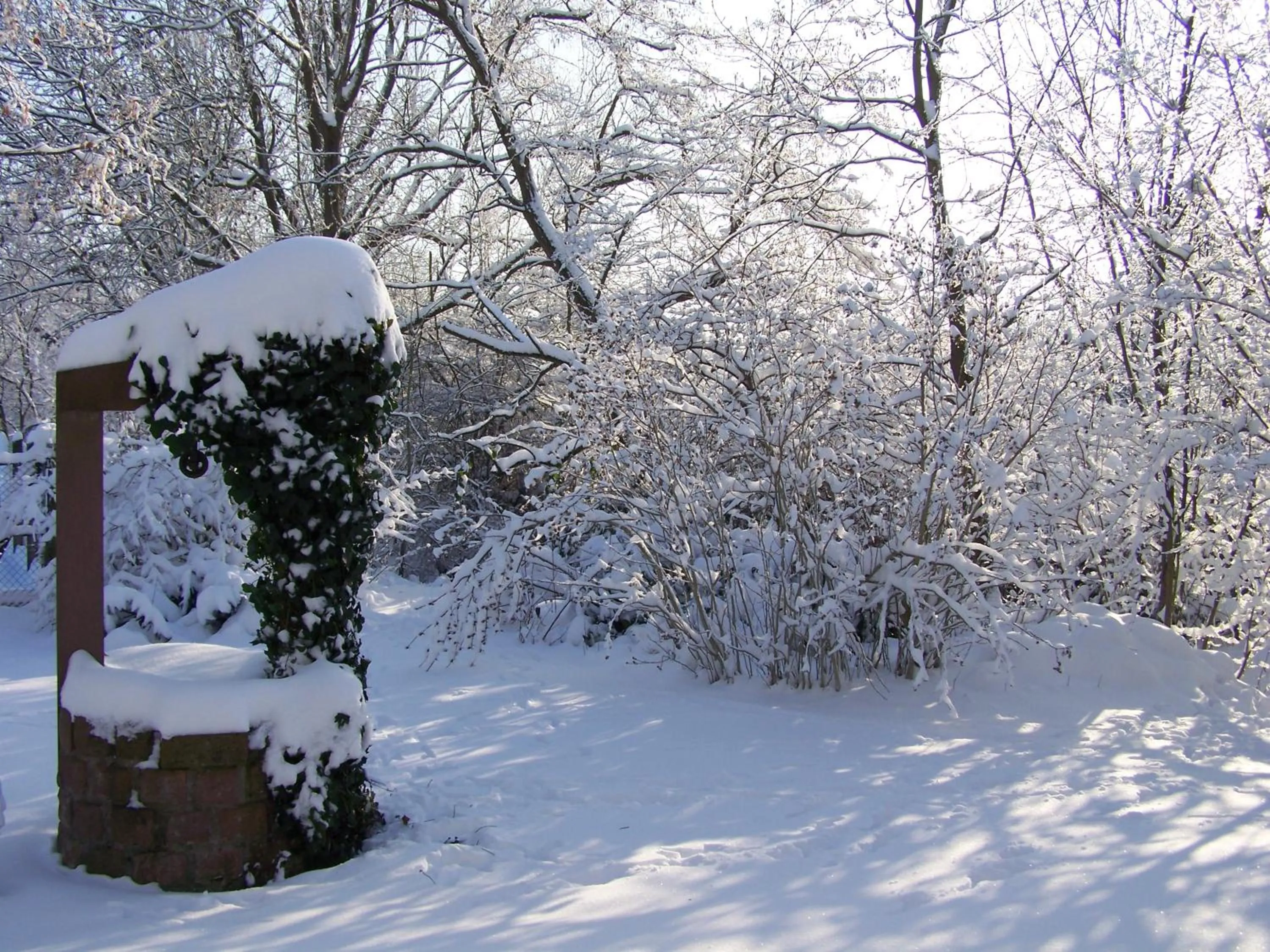 Garden in Badische Landoase