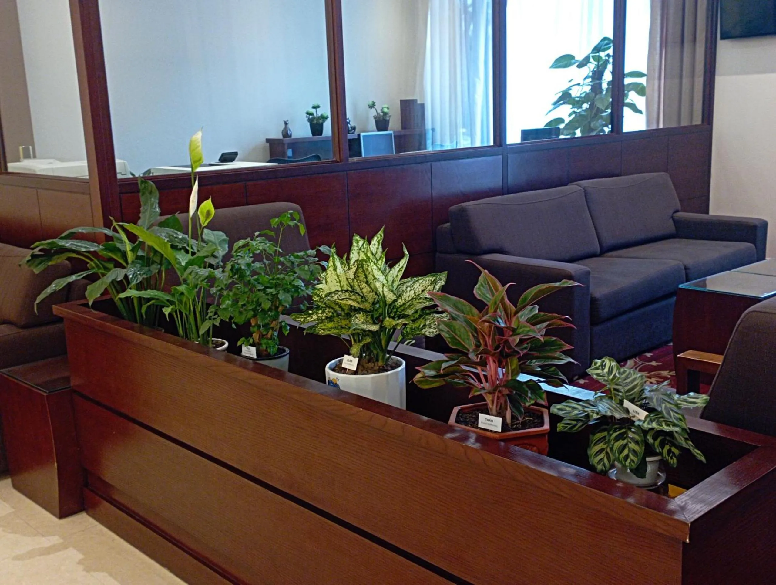 Garden in Hilton Garden Inn Hanoi