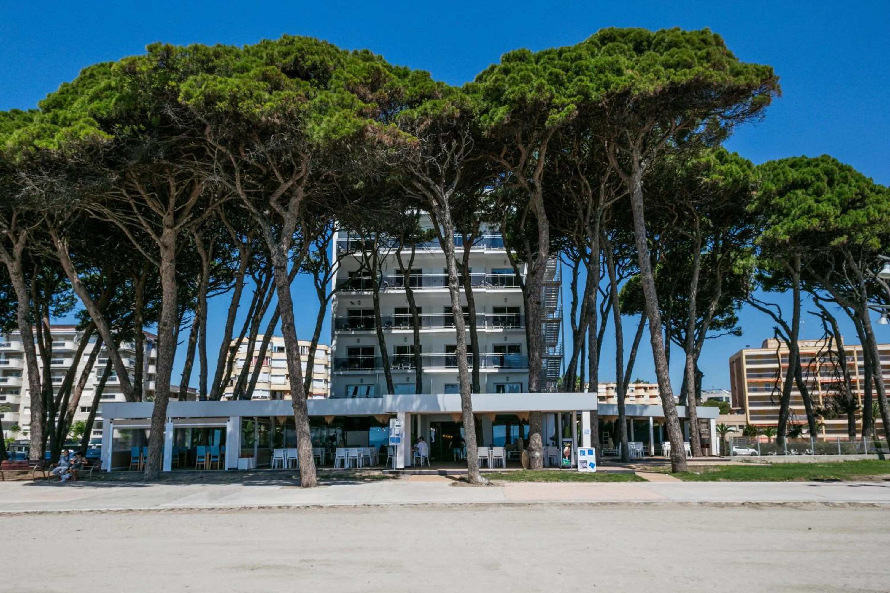 Lounge or bar in Hotel Best Terramarina