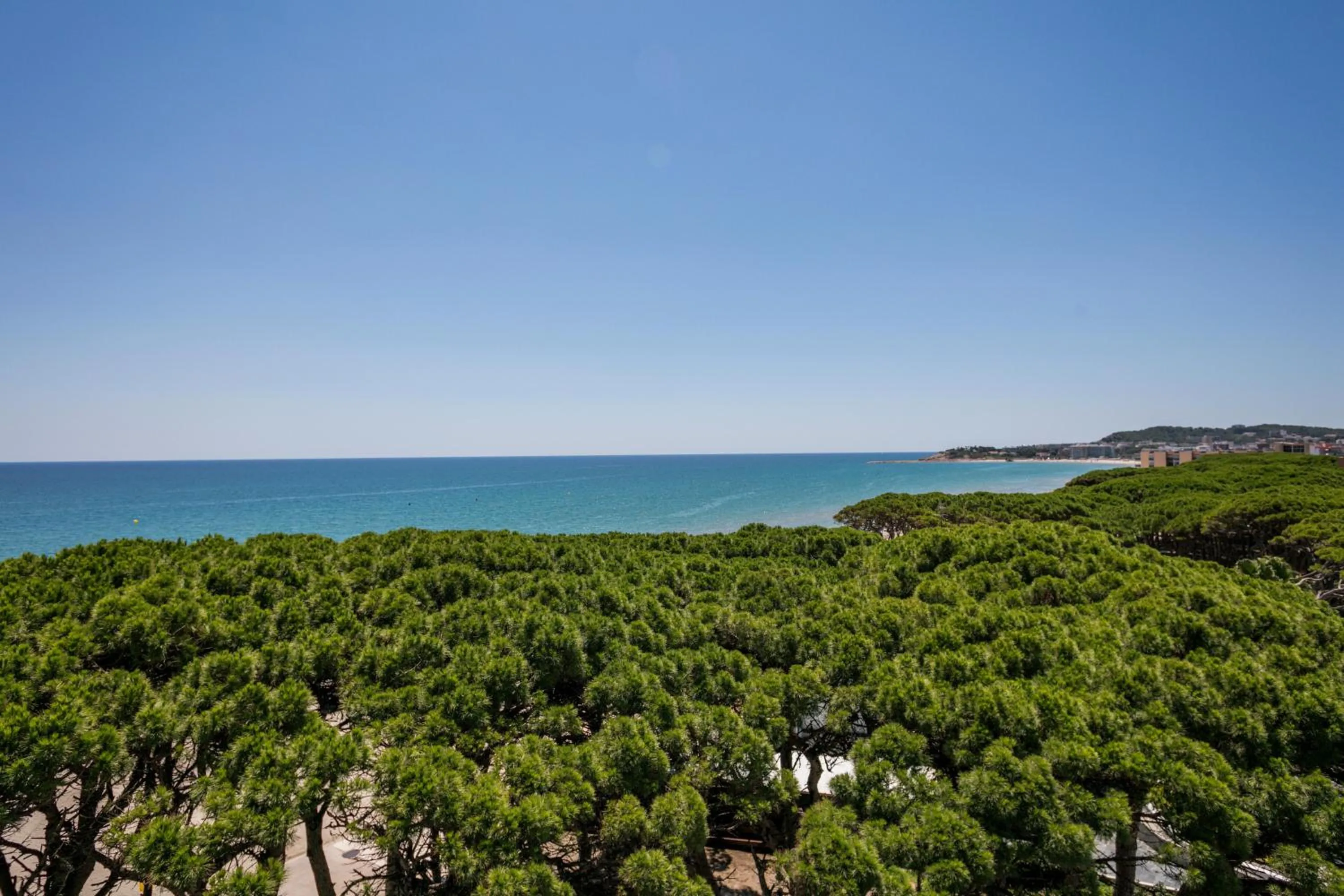 Natural landscape in Hotel Best Terramarina