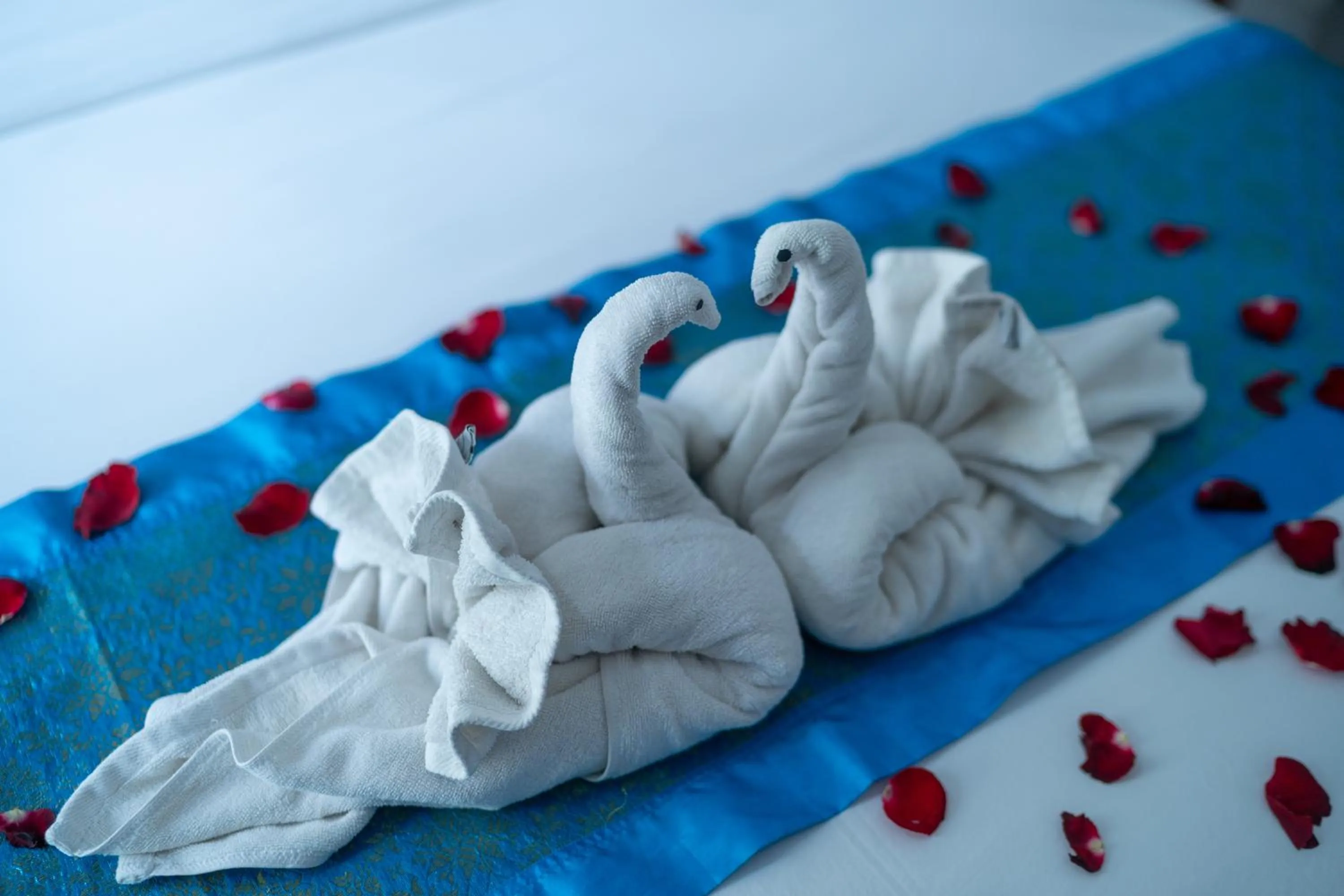 Photo of the whole room, Bed in Astana House