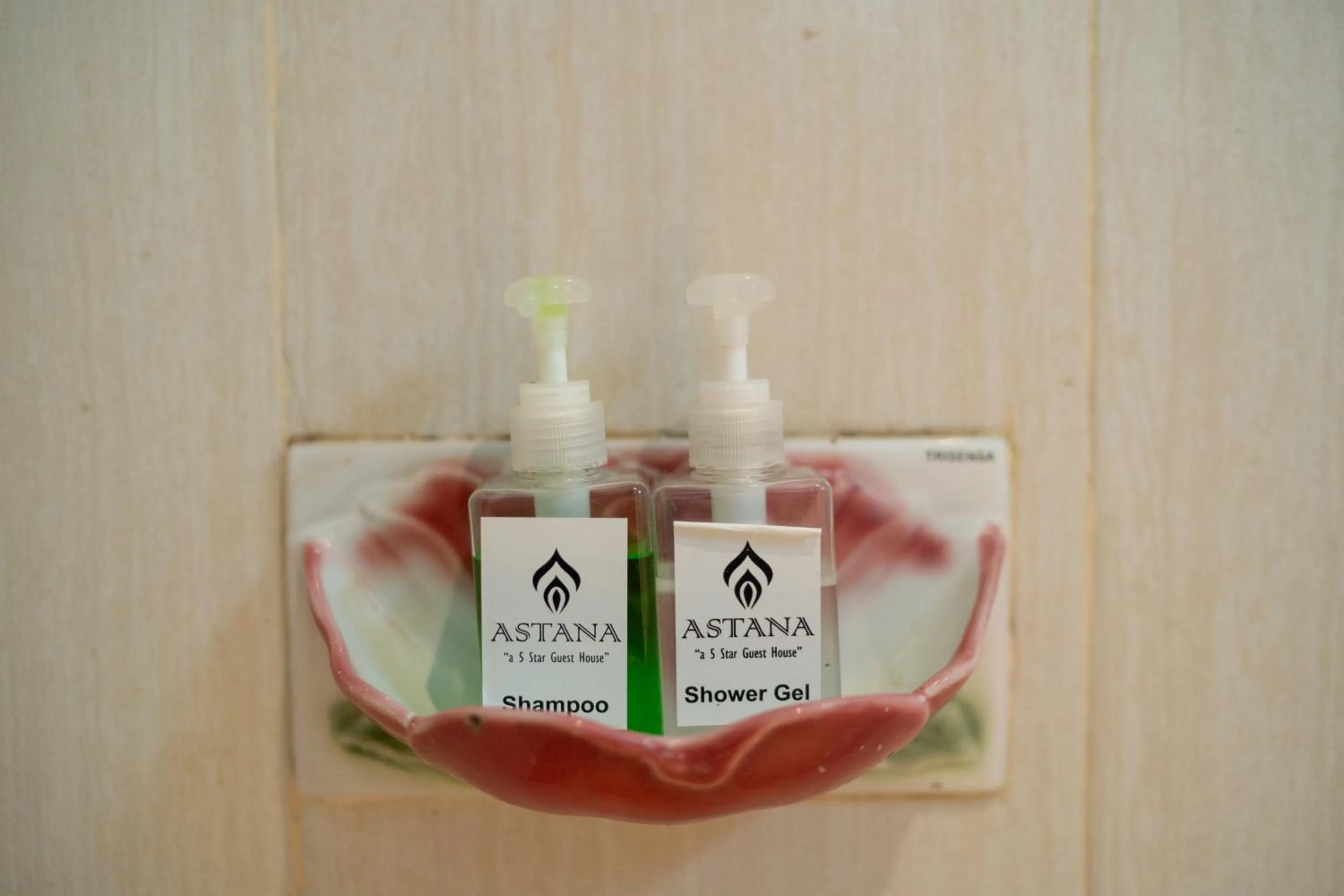 Bathroom in Astana House