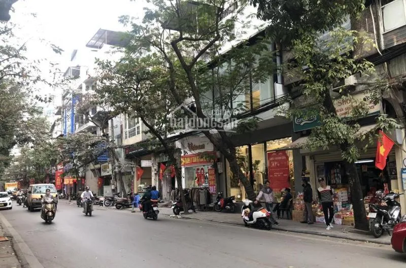 Little Hanoi Hostel