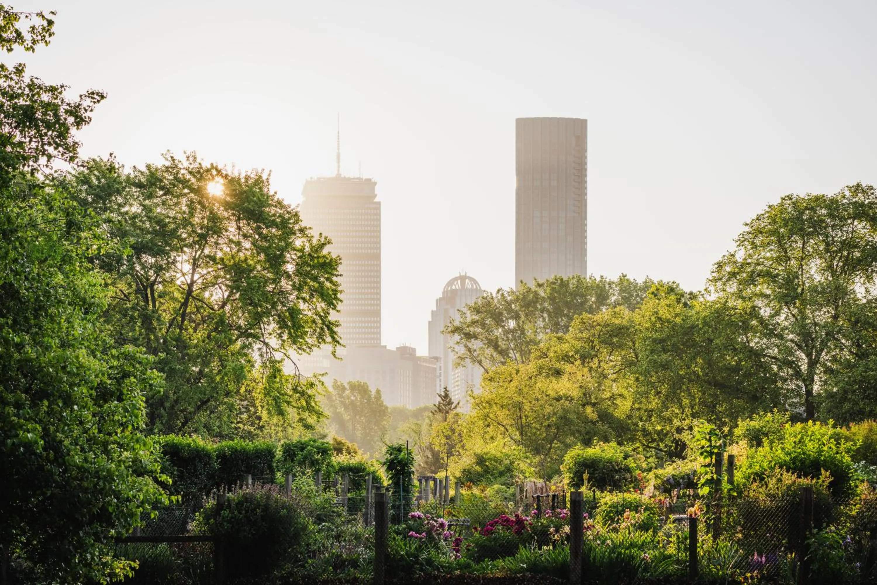 Property building in Four Seasons Hotel One Dalton Street, Boston