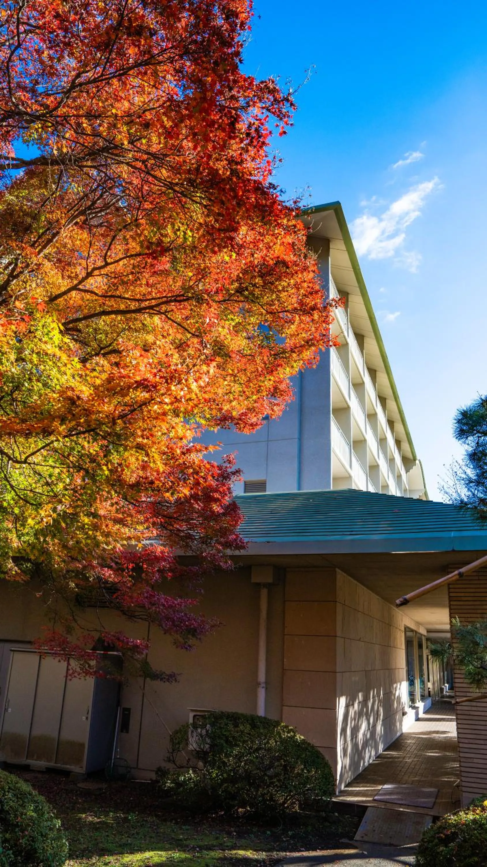 Property building in Fuji View Hotel