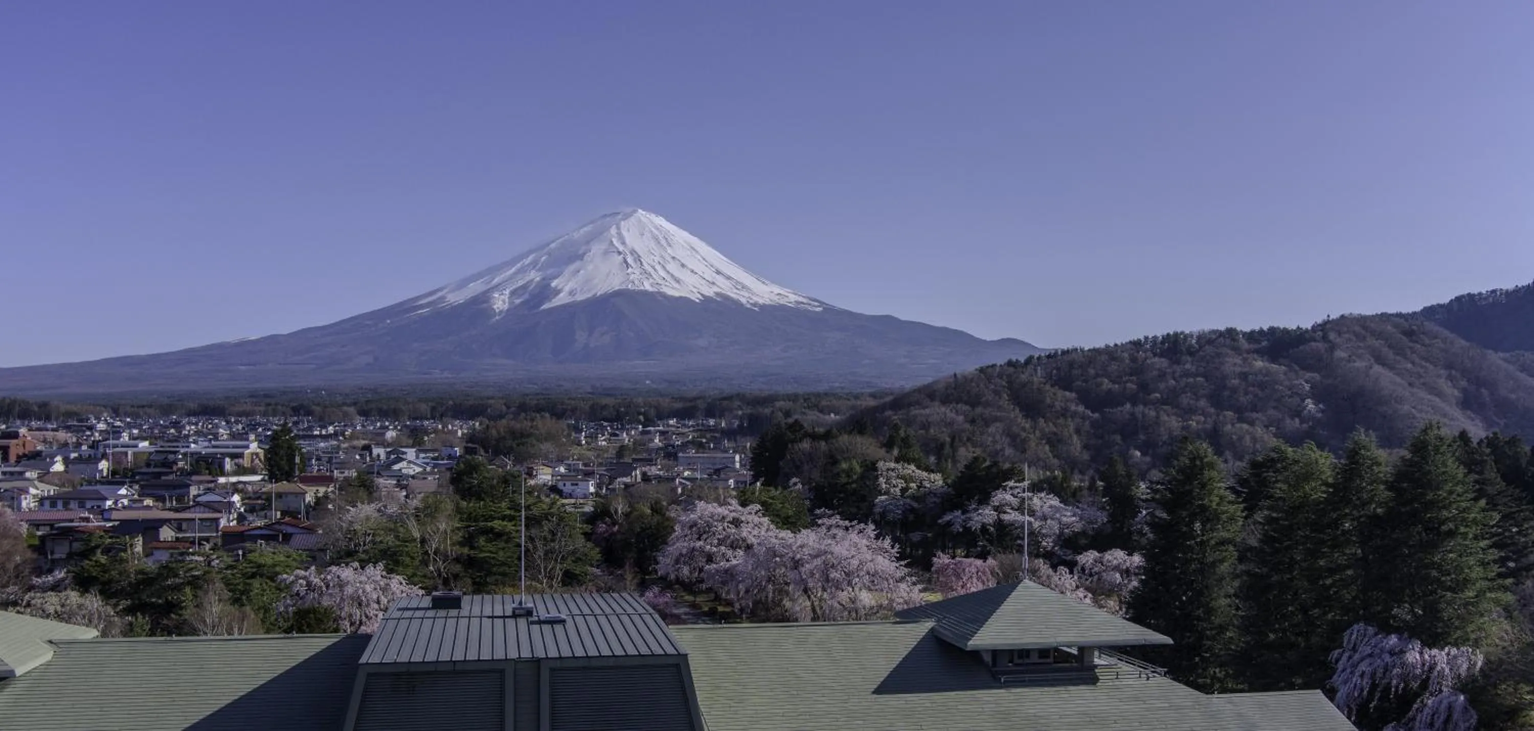 Natural landscape in Fuji View Hotel