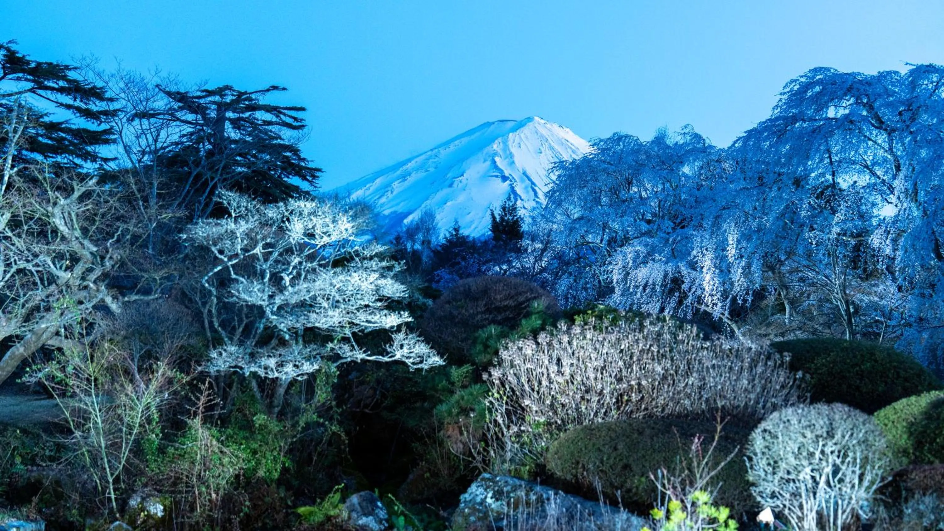 On site in Fuji View Hotel