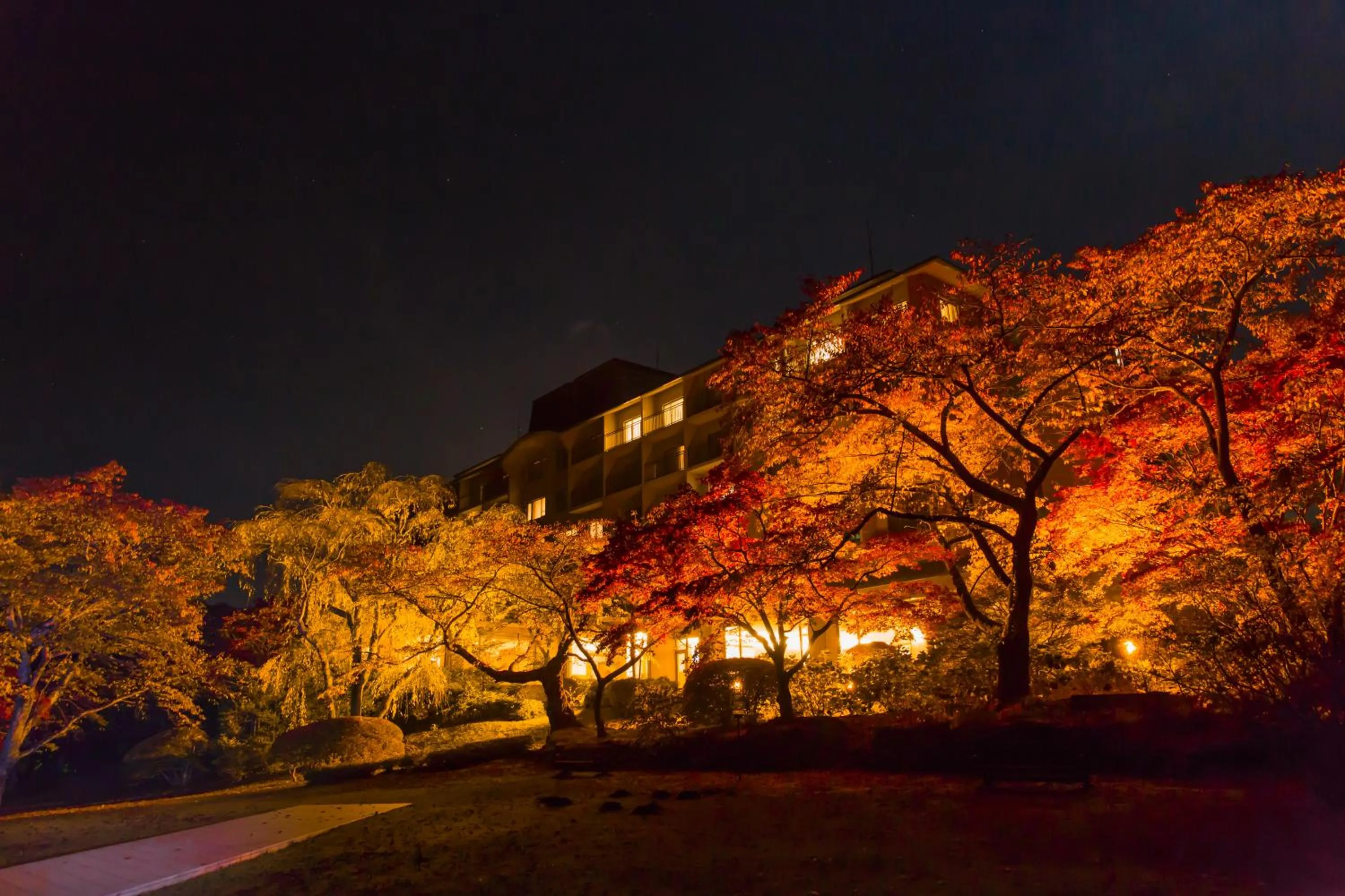 Autumn in Fuji View Hotel