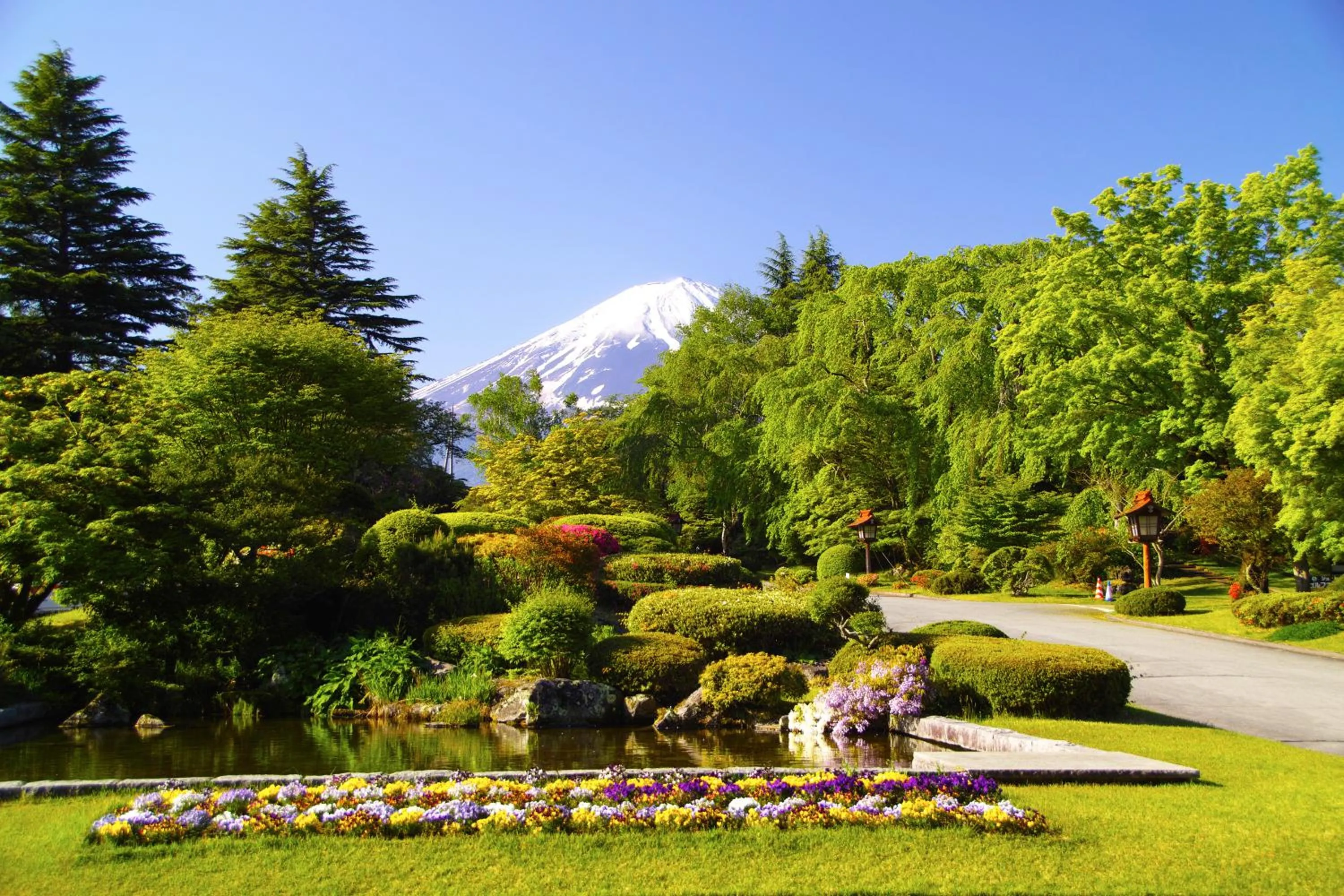 Day in Fuji View Hotel