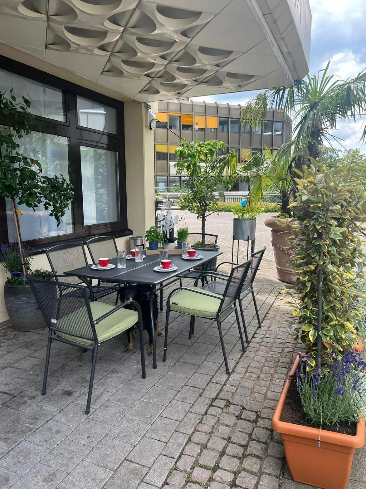 Property building in Hotel Regina