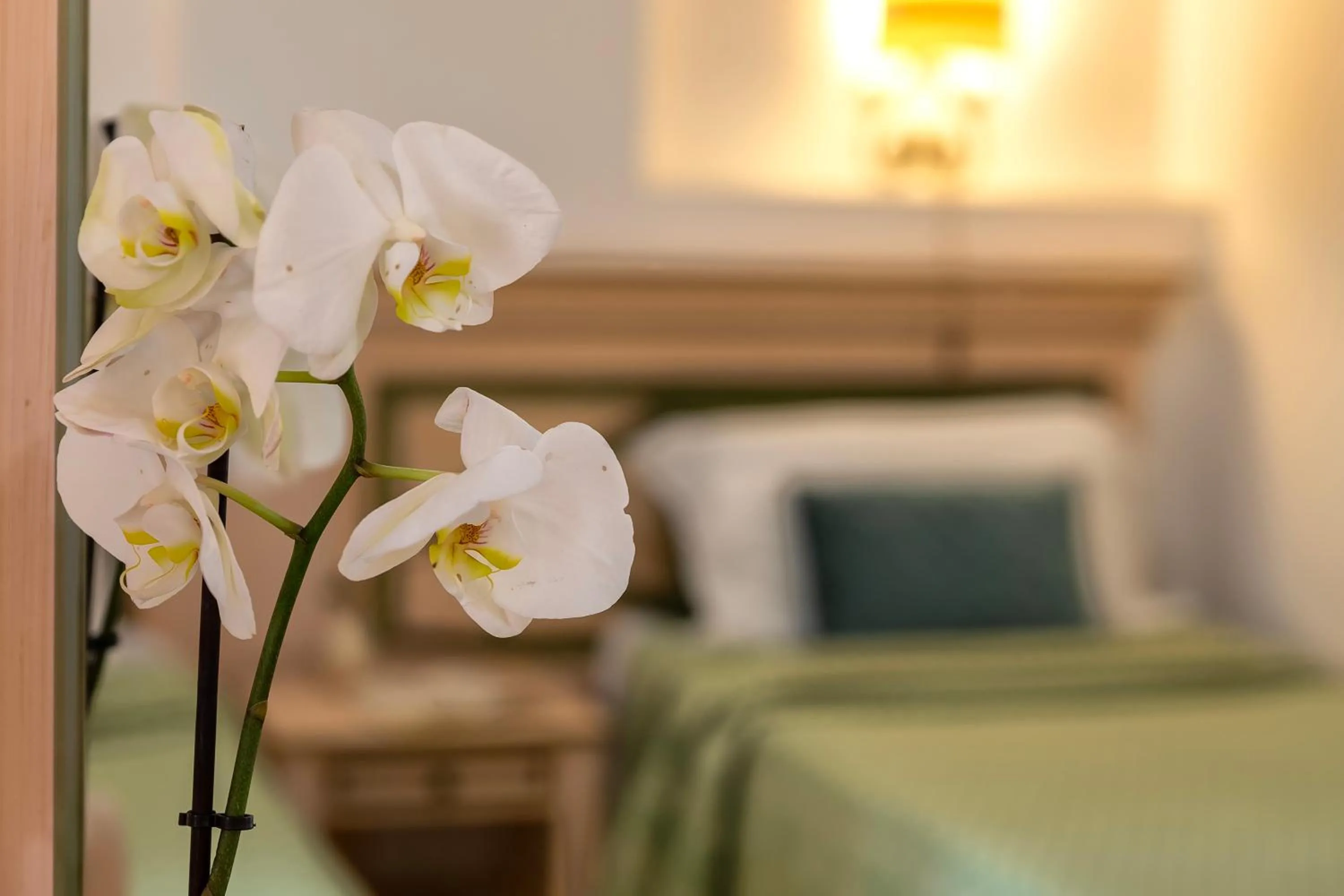 Bed in Hotel Fertilia