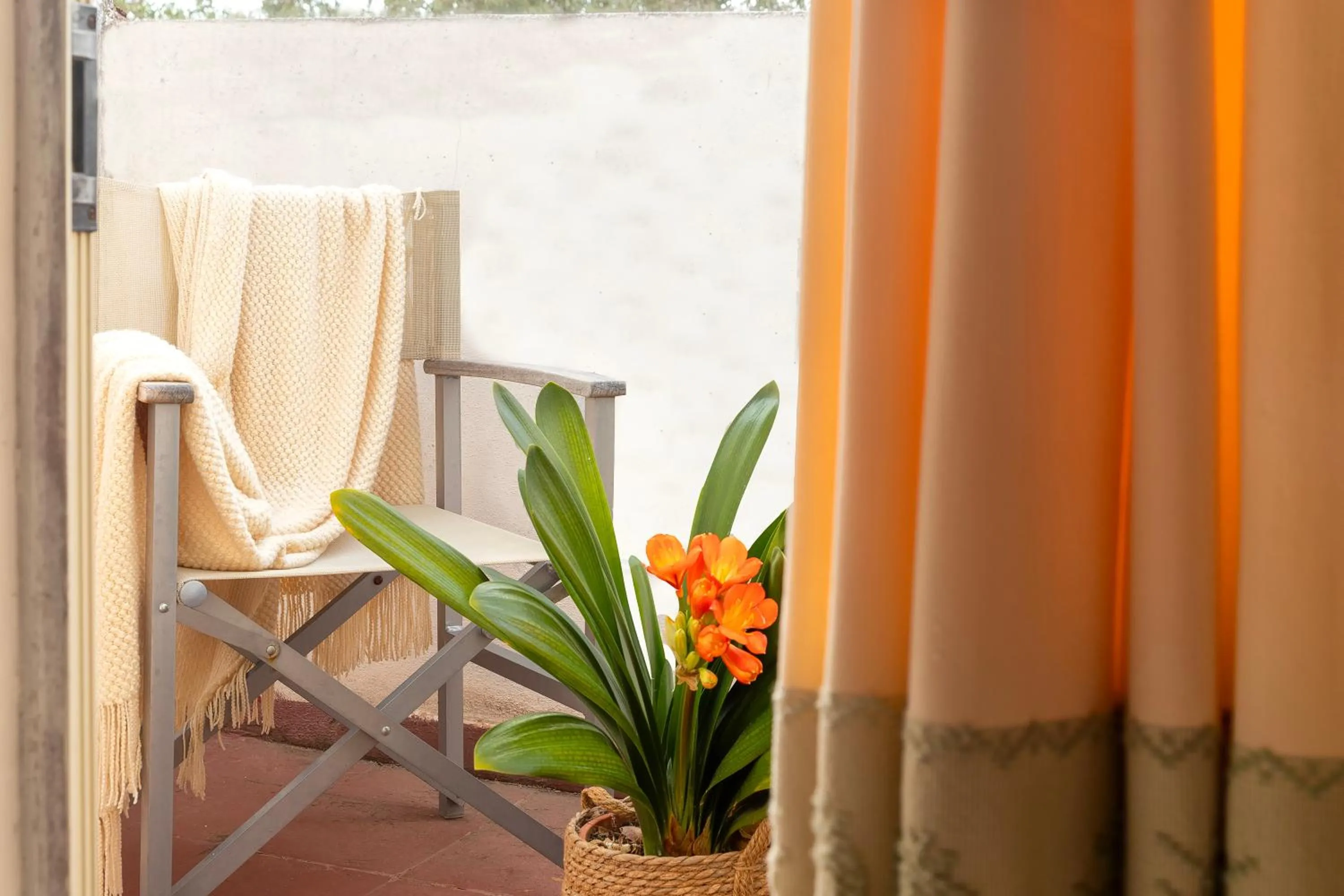 Balcony/Terrace in Hotel Fertilia