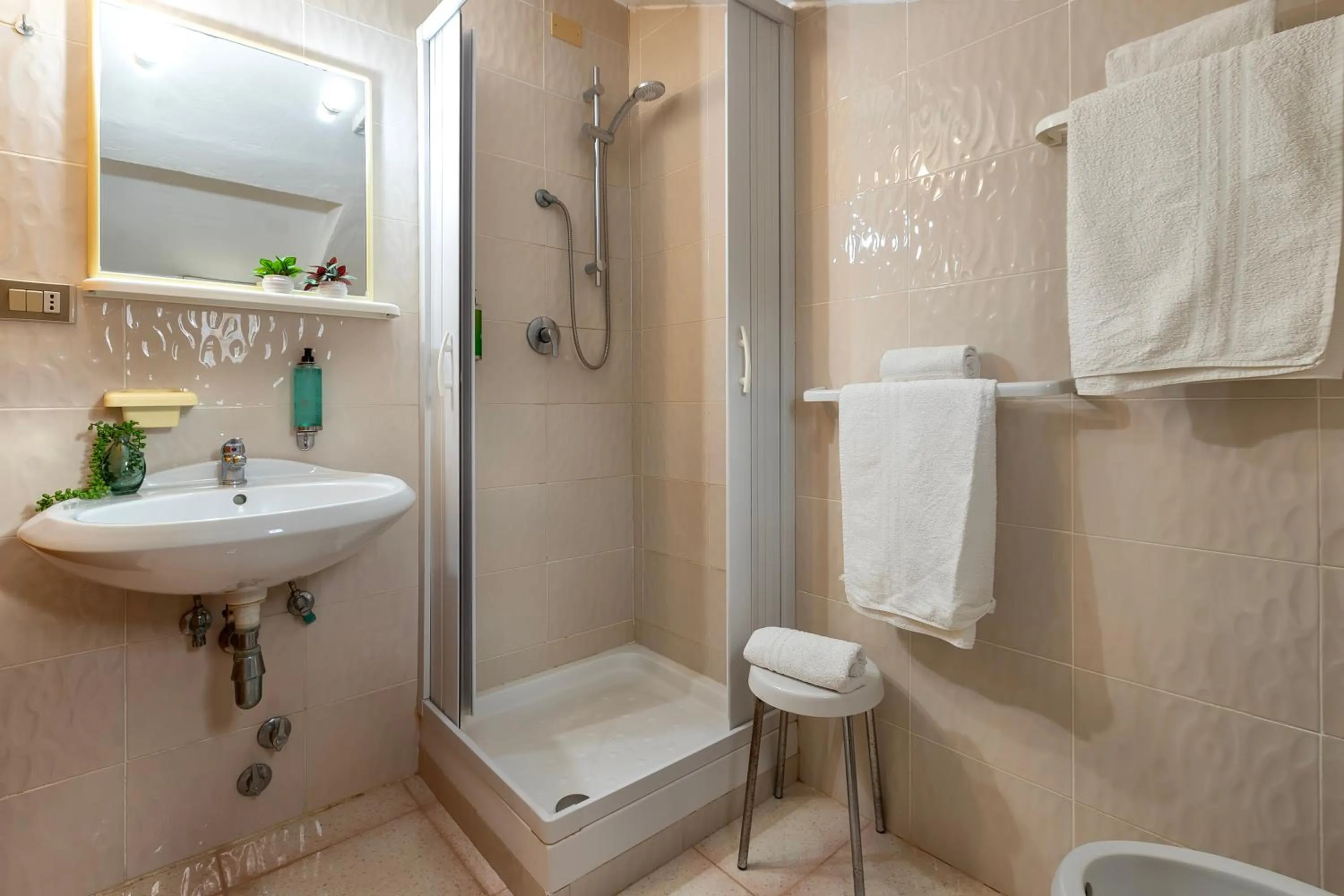 Shower in Hotel Fertilia