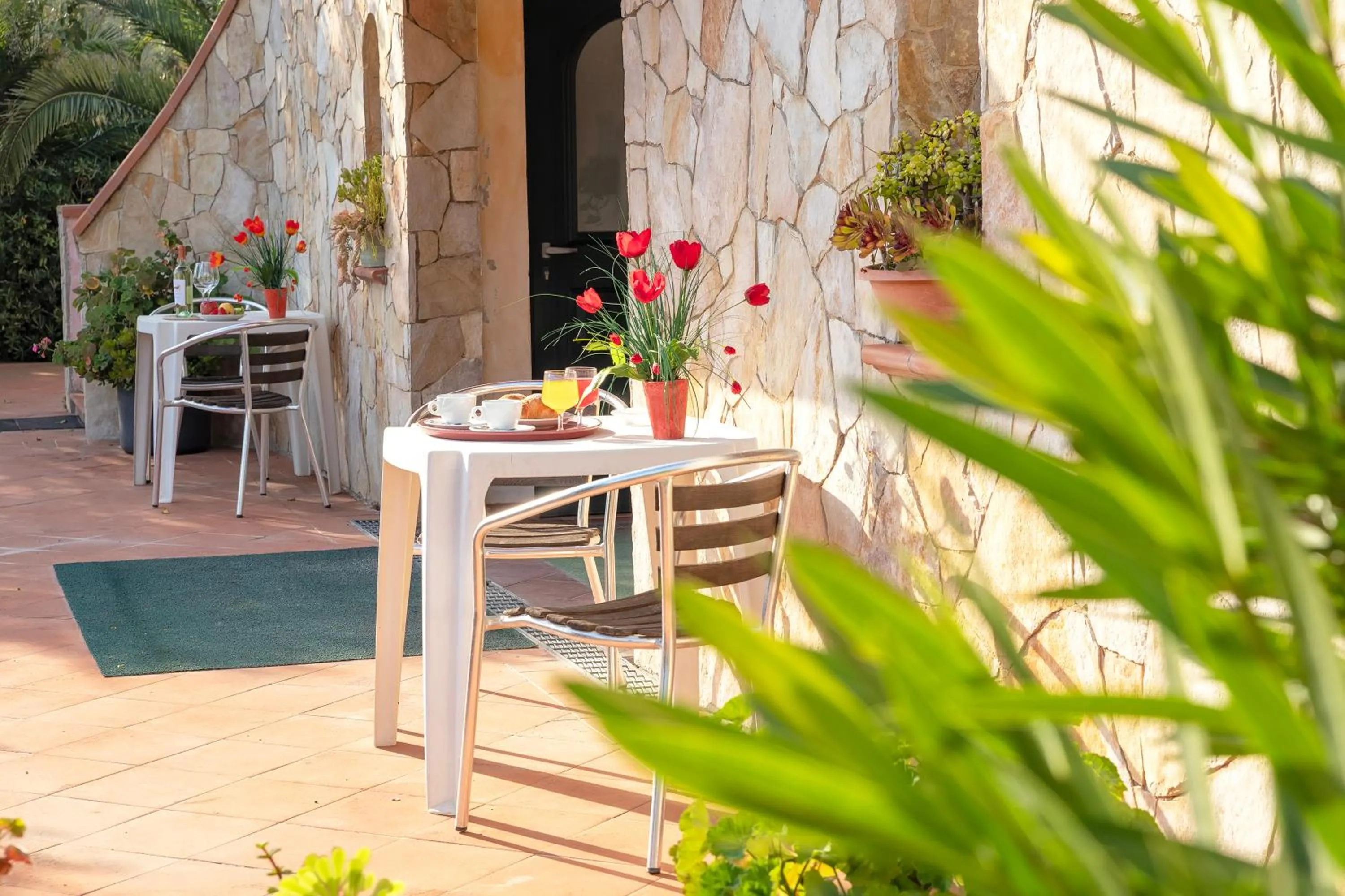 Patio in Hotel Fertilia