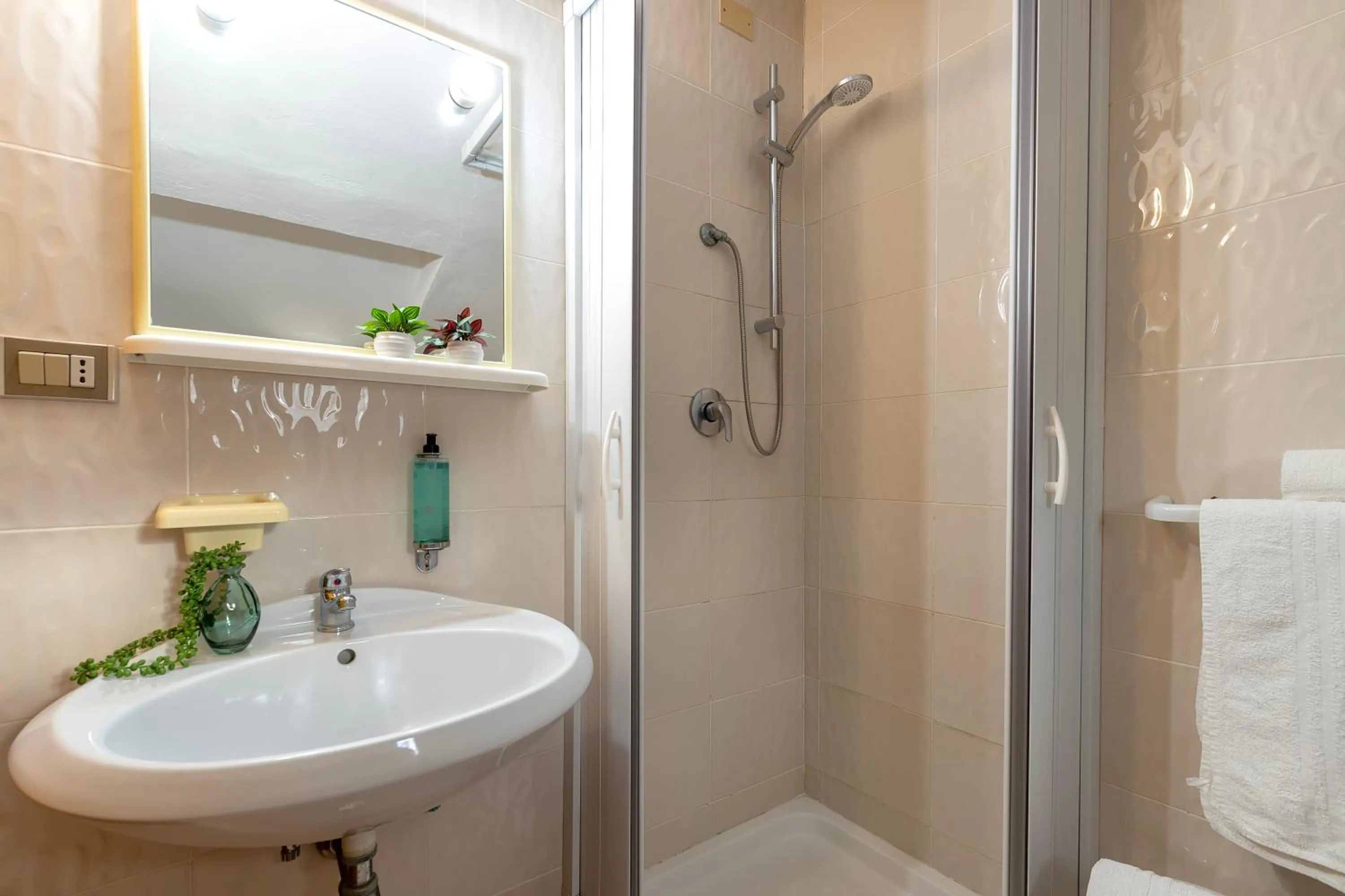 Shower in Hotel Fertilia