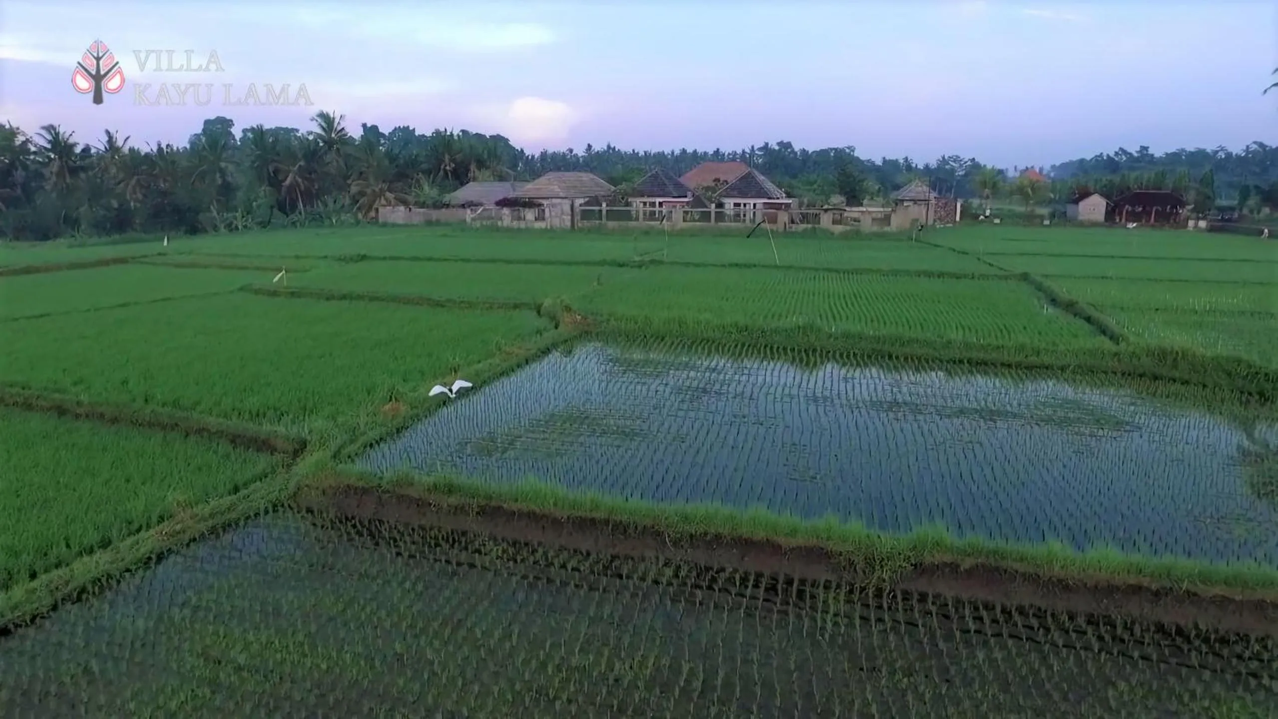 Day in Villa Kayu Lama