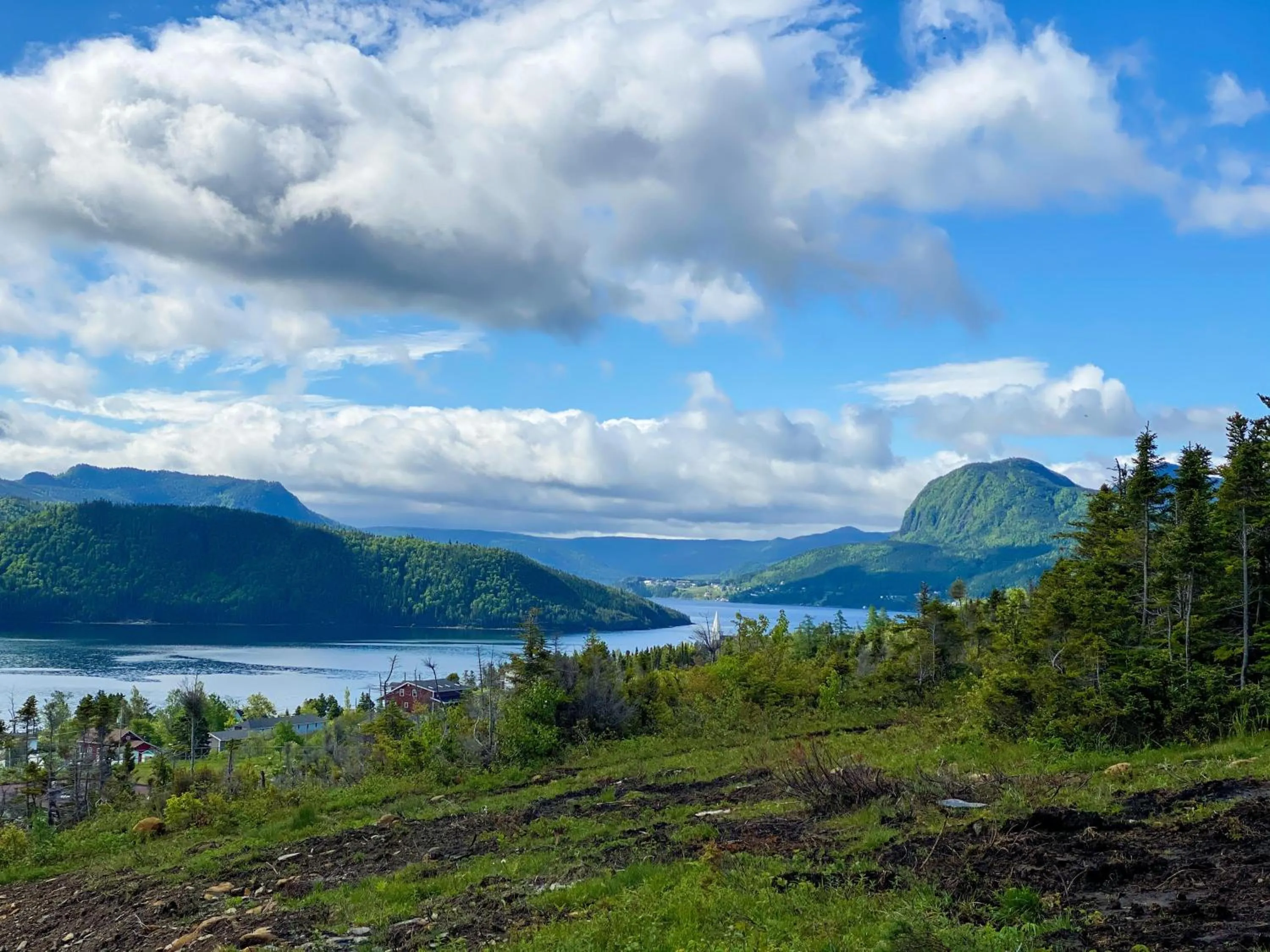 Mountain view in The Rooms at Woody Point