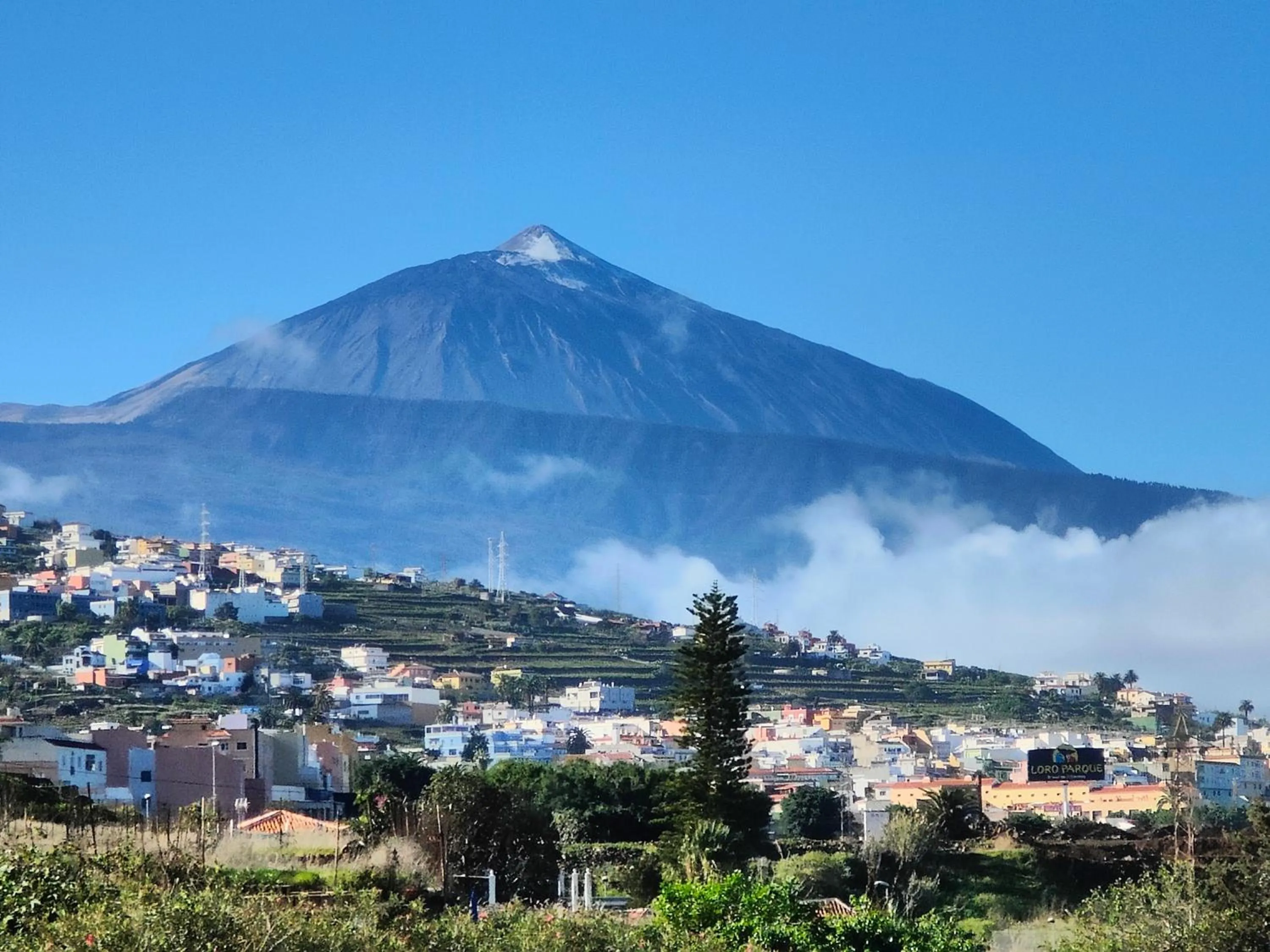 Natural landscape in Hotel Don Cándido