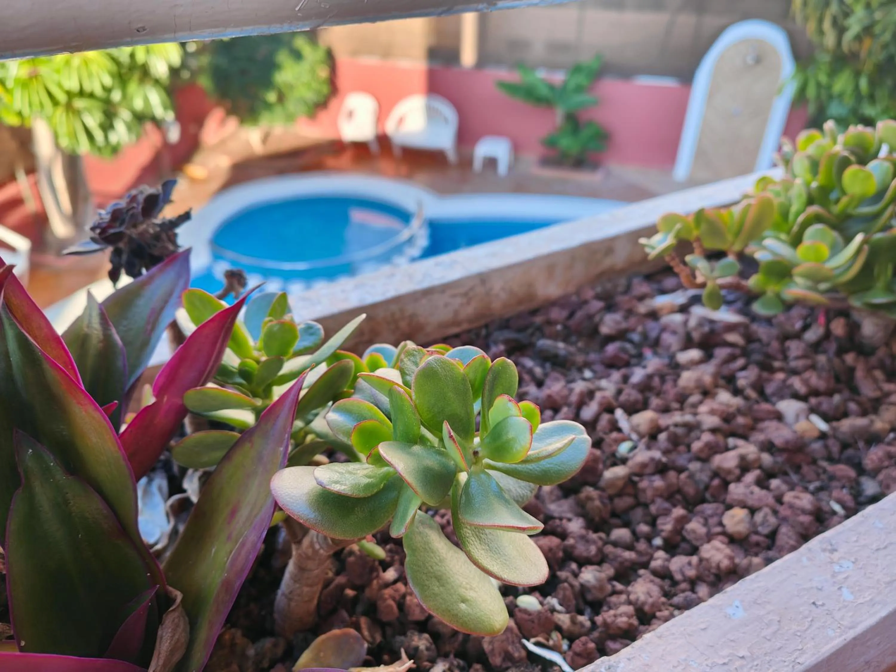 Balcony/Terrace in Hotel Don Cándido