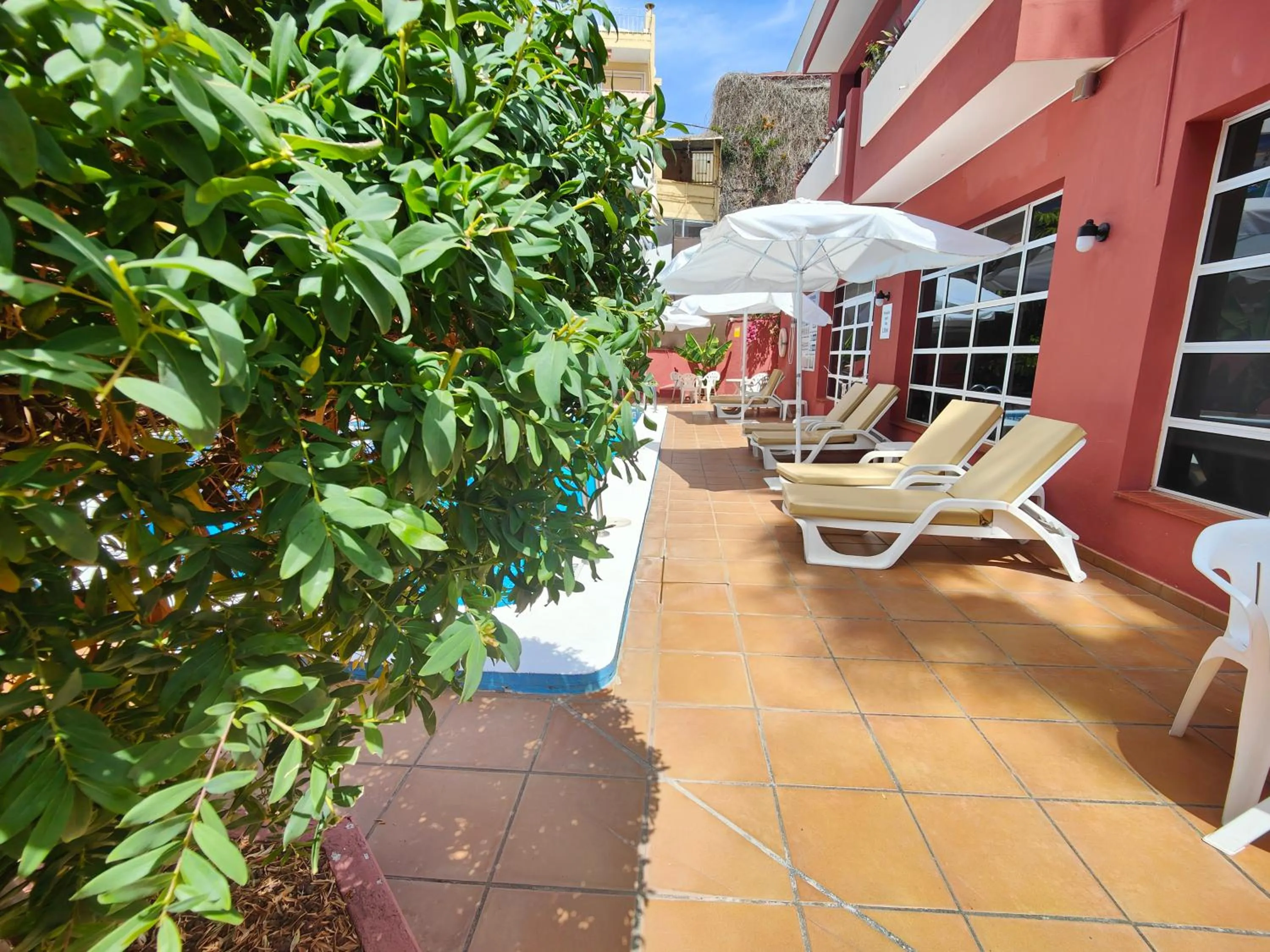 Balcony/Terrace in Hotel Don Cándido