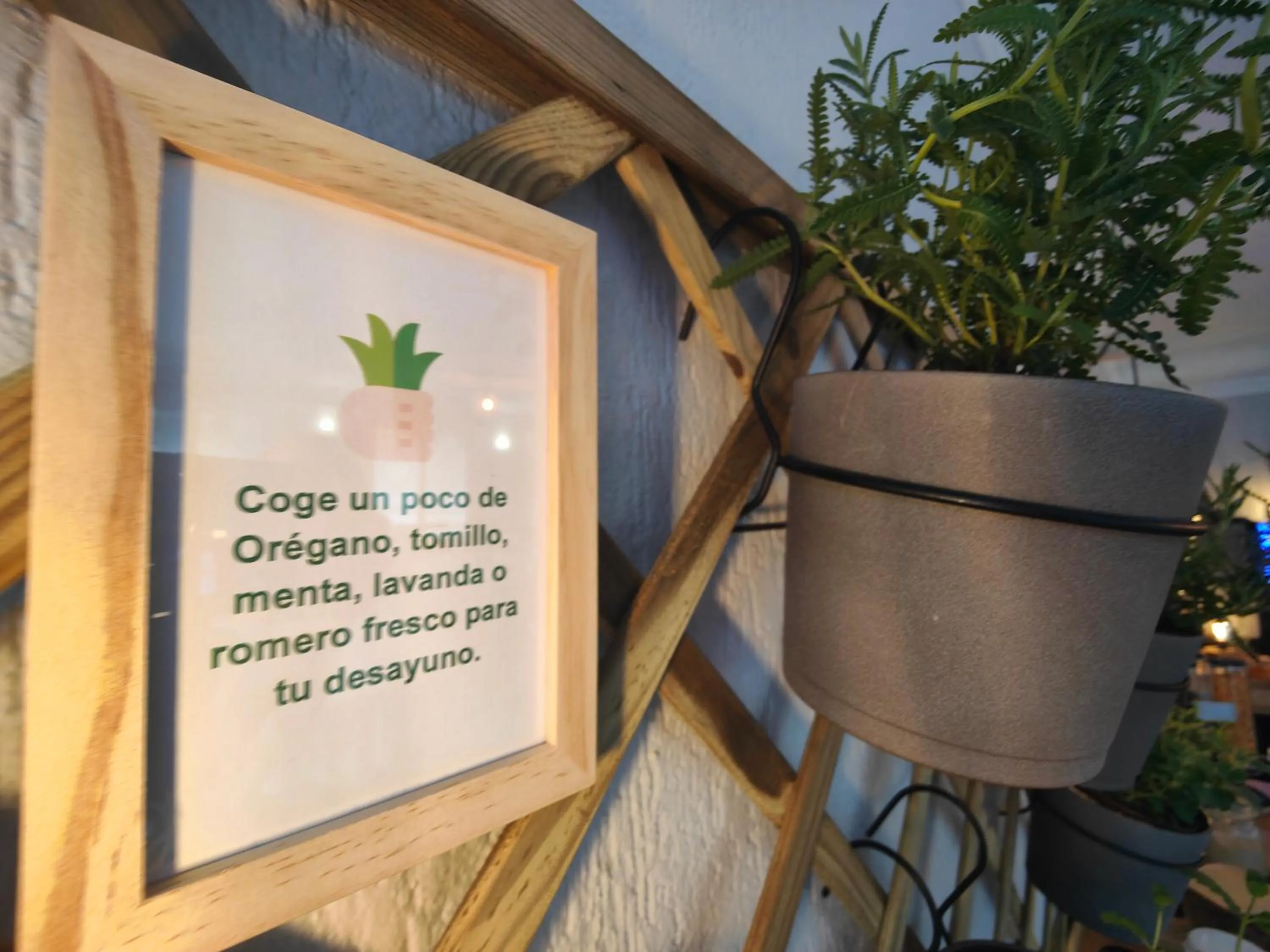 Breakfast in Hotel Don Cándido