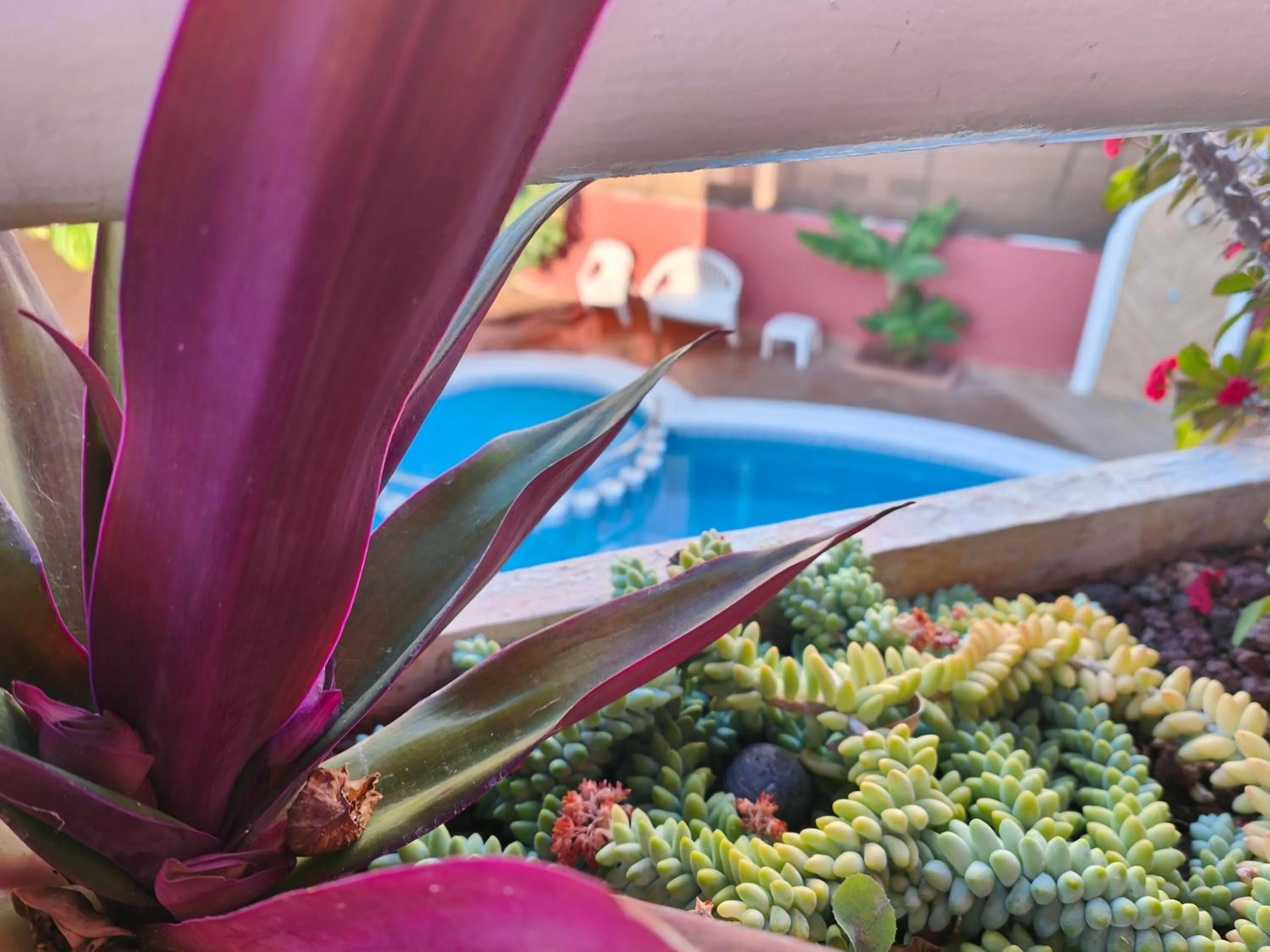 Balcony/Terrace in Hotel Don Cándido