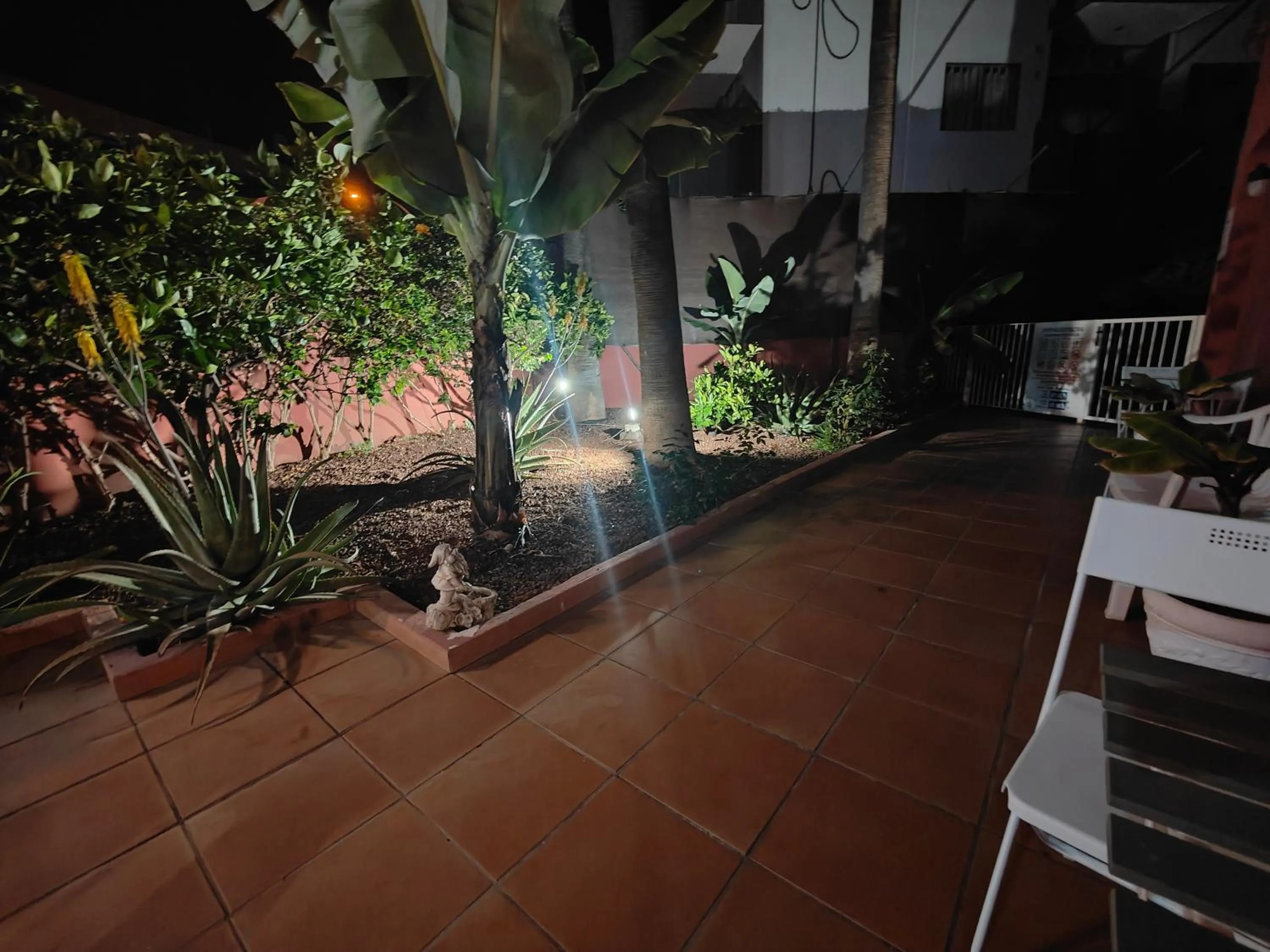 Garden in Hotel Don Cándido