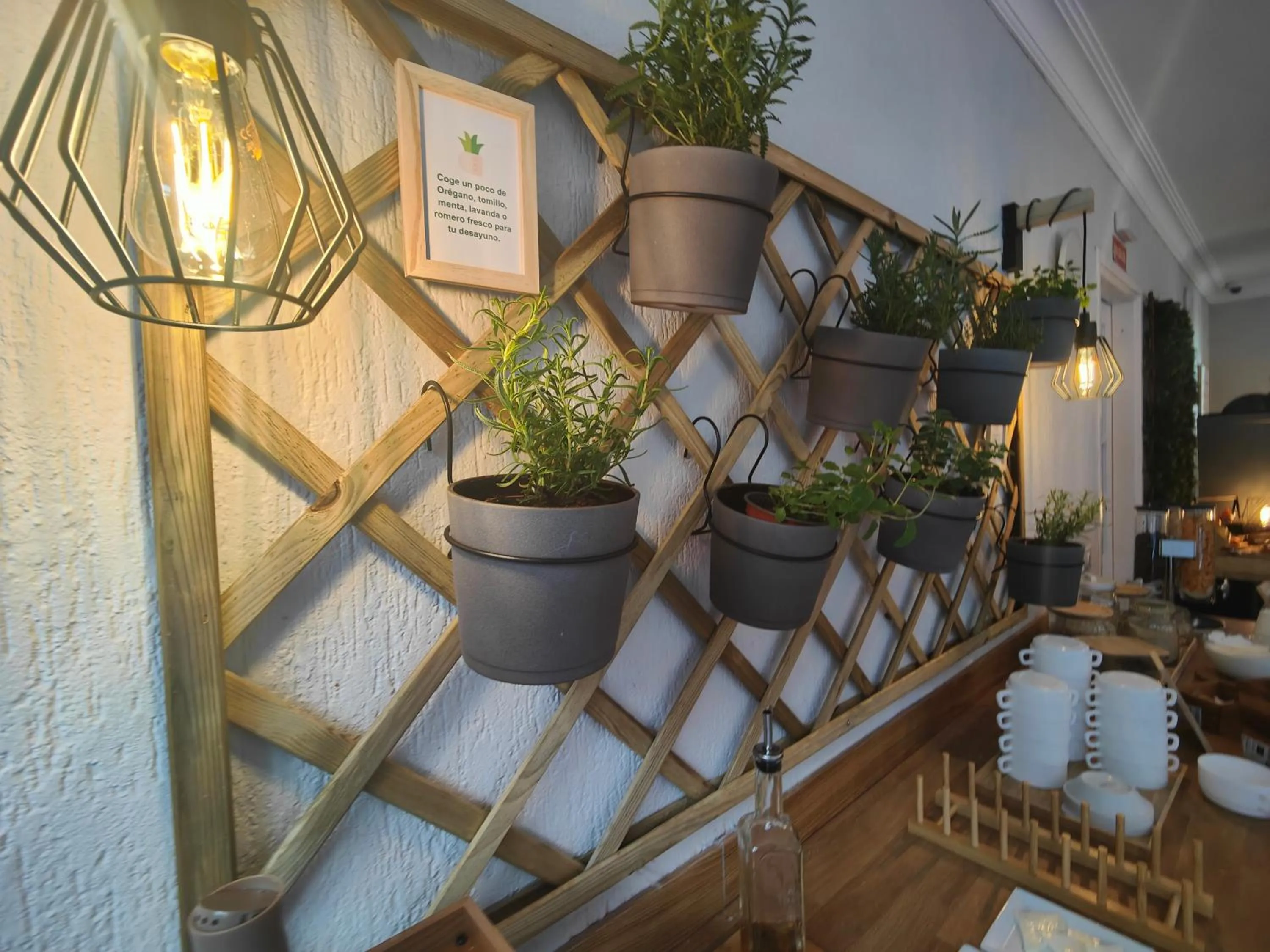 Breakfast in Hotel Don Cándido