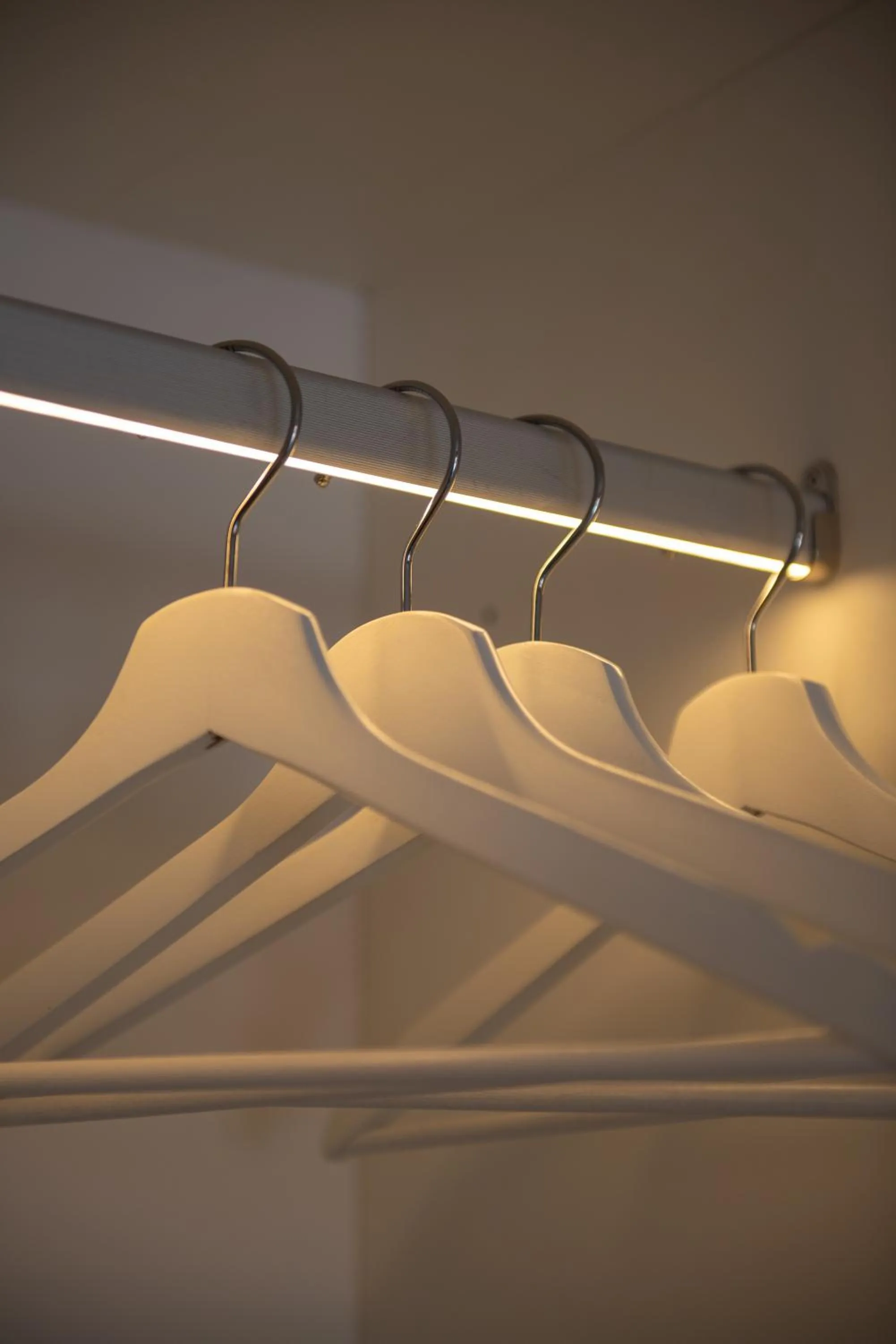 Area and facilities in Hotel Ereza Mar - Adults Only