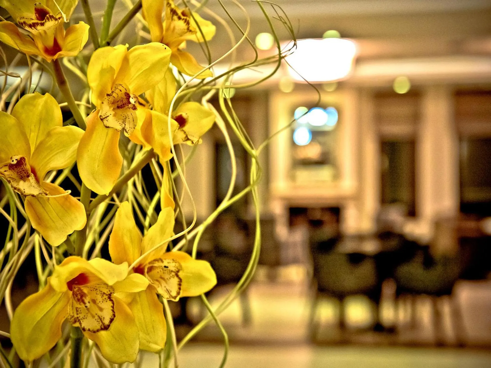 Lounge or bar in Enastron View Hotel