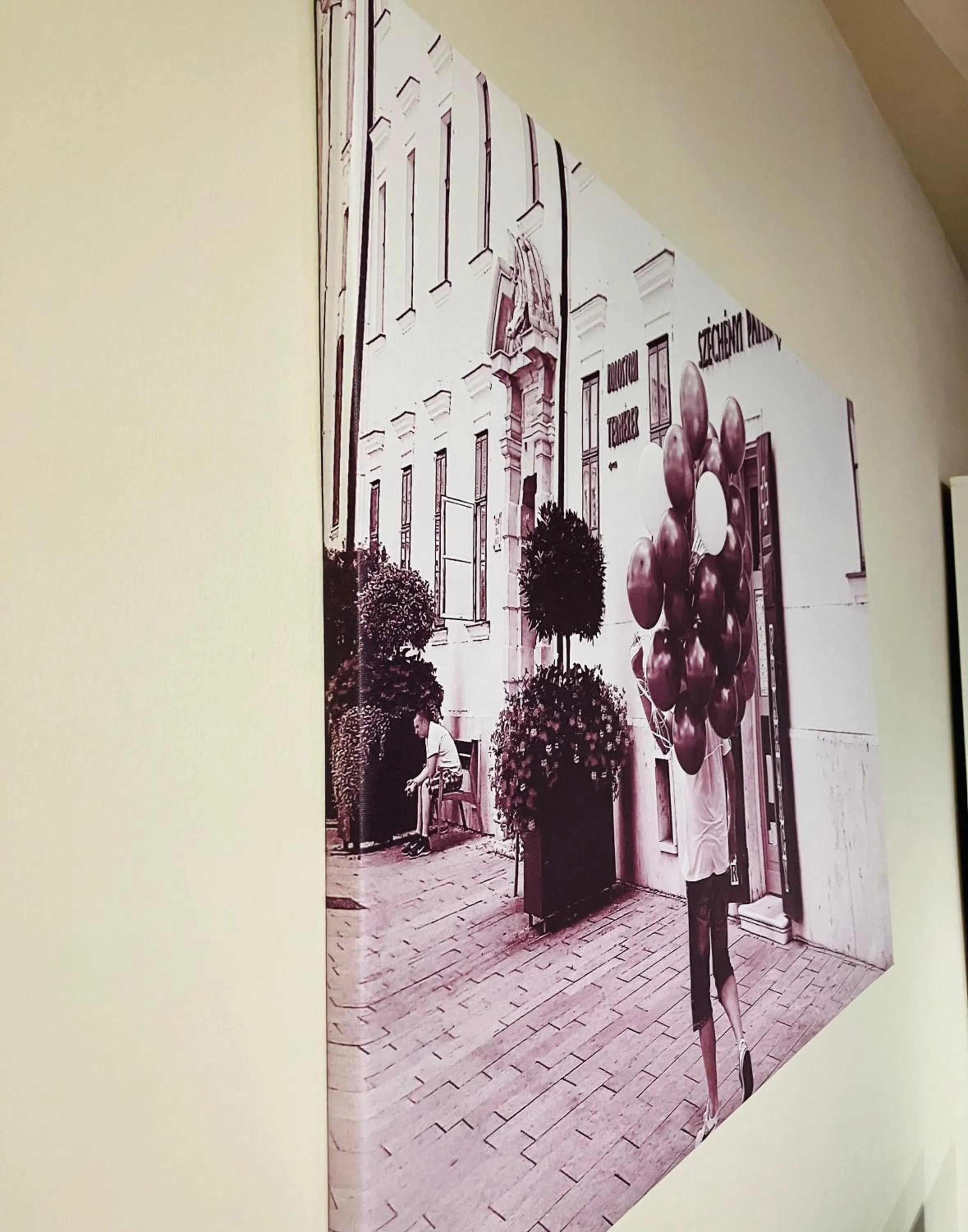 Downtown Apartments DeLuxe