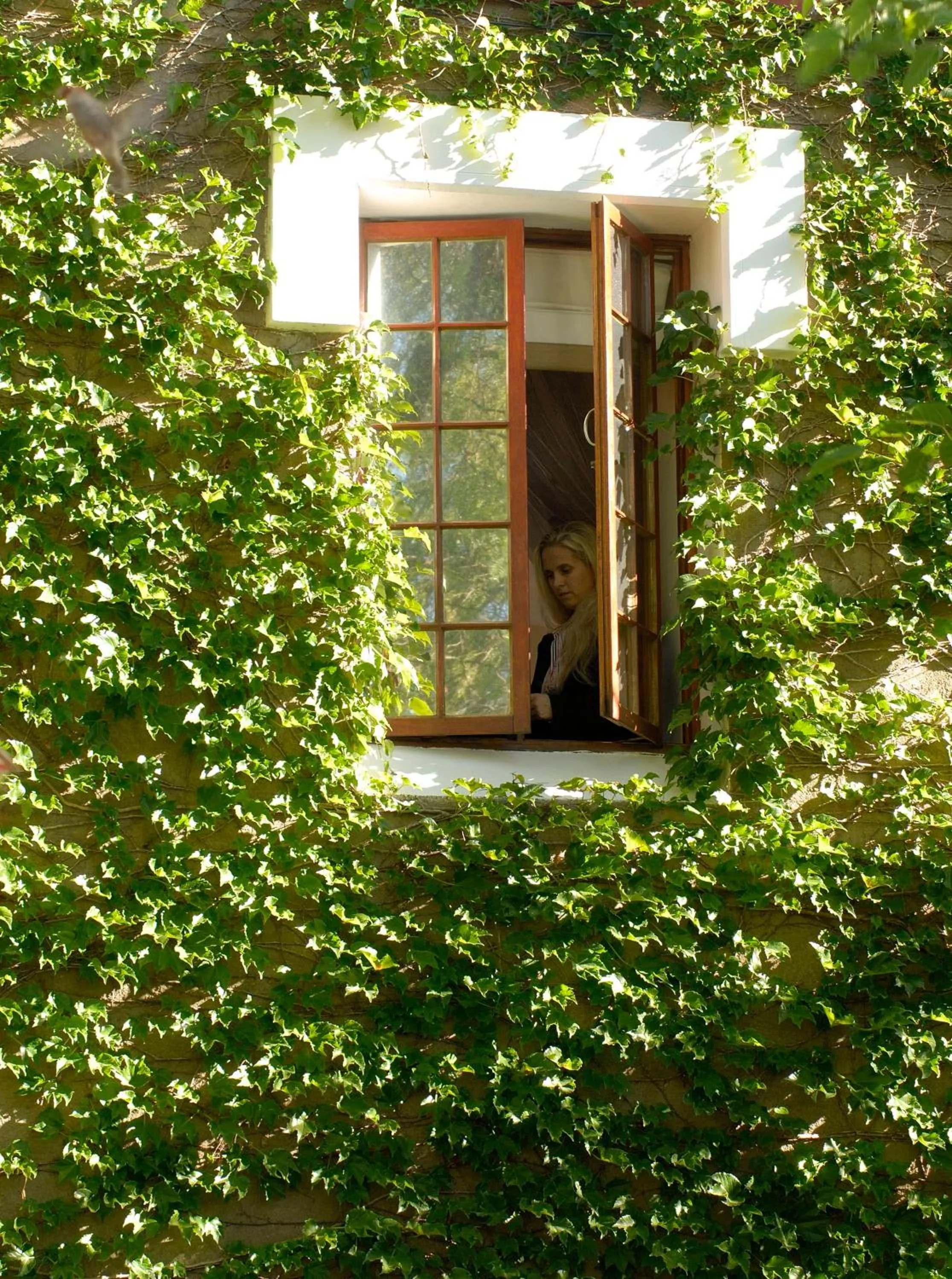 Property building in Heinitzburg Boutique Hotel