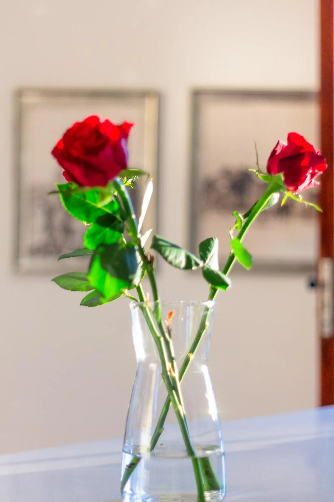 Decorative detail in Heinitzburg Boutique Hotel