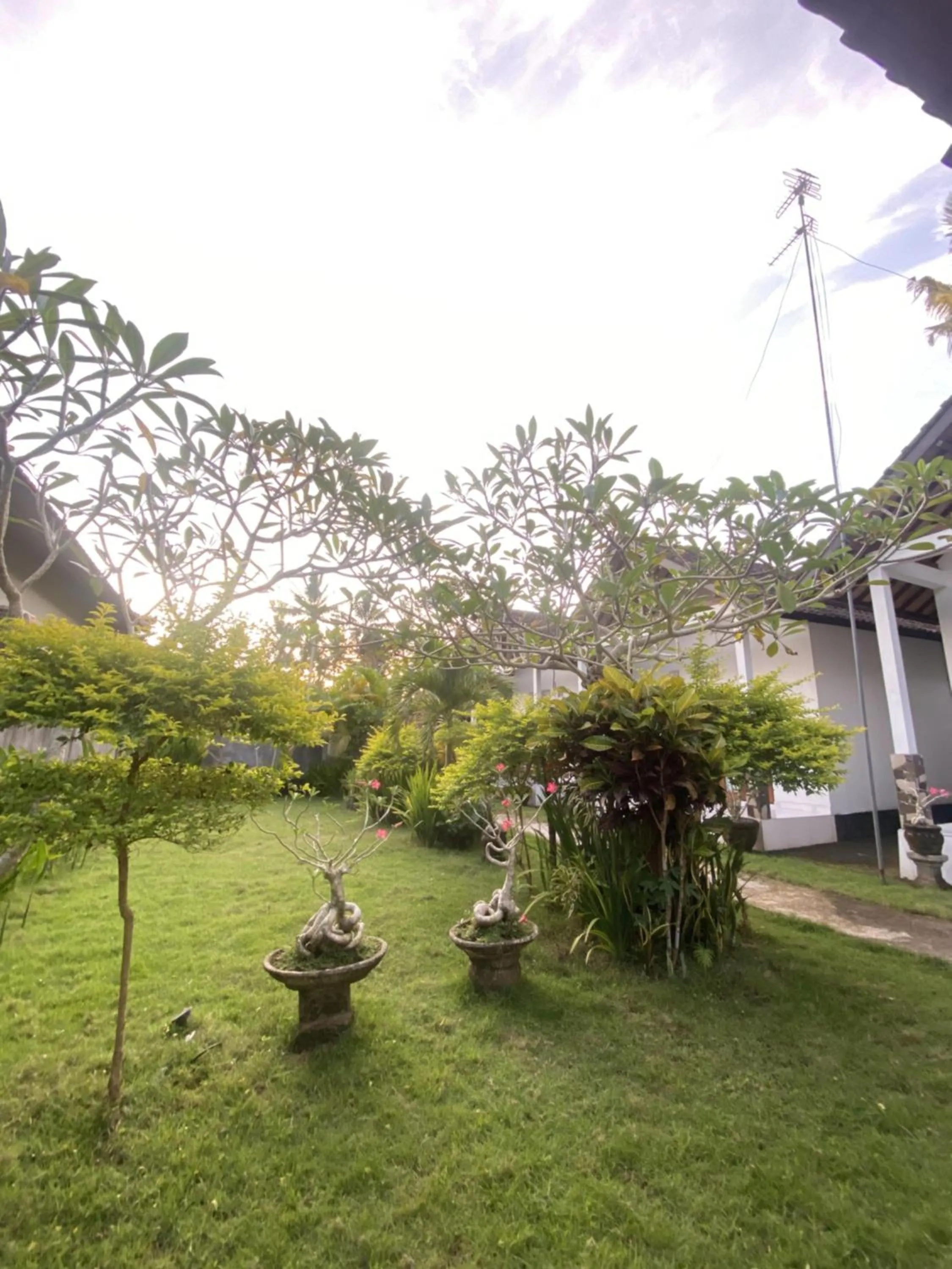 Garden view in Kubu Indah Guest House