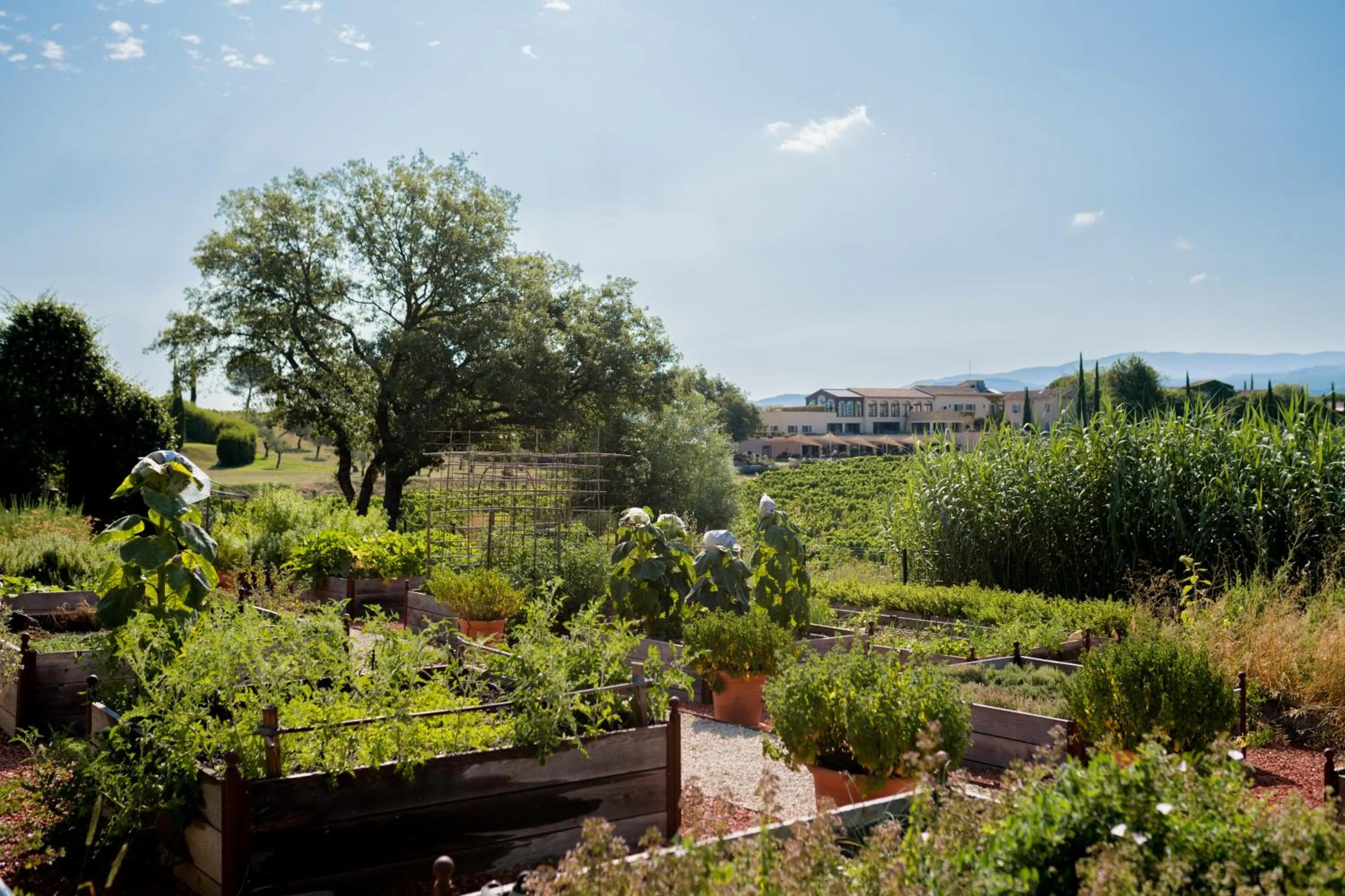Garden in Coquillade Provence - Relais & Châteaux