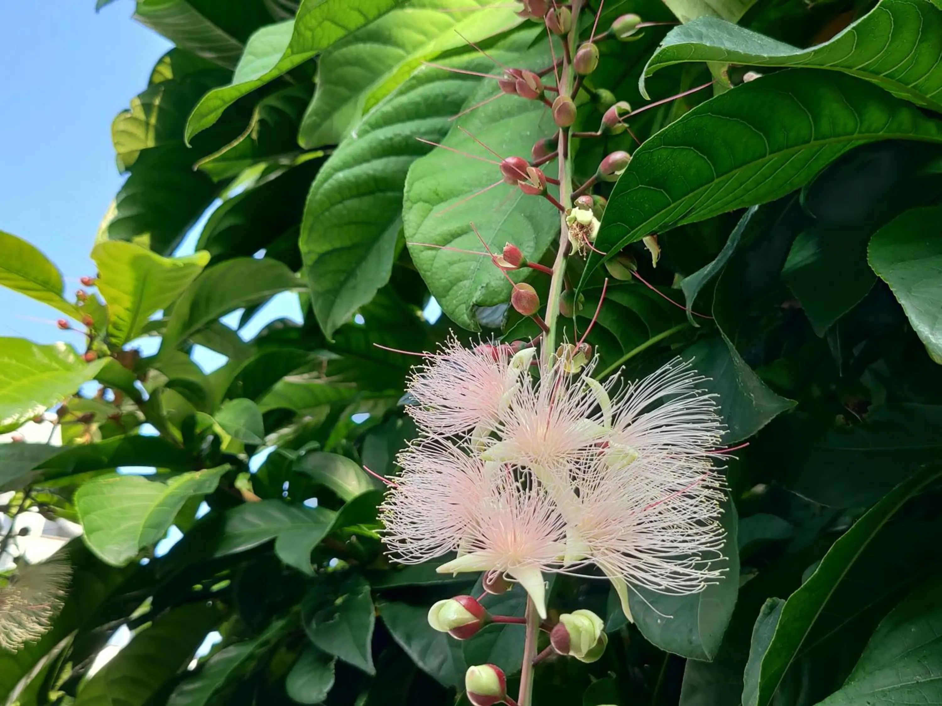 Off site in Hotel Torifito Naha Asahibashi